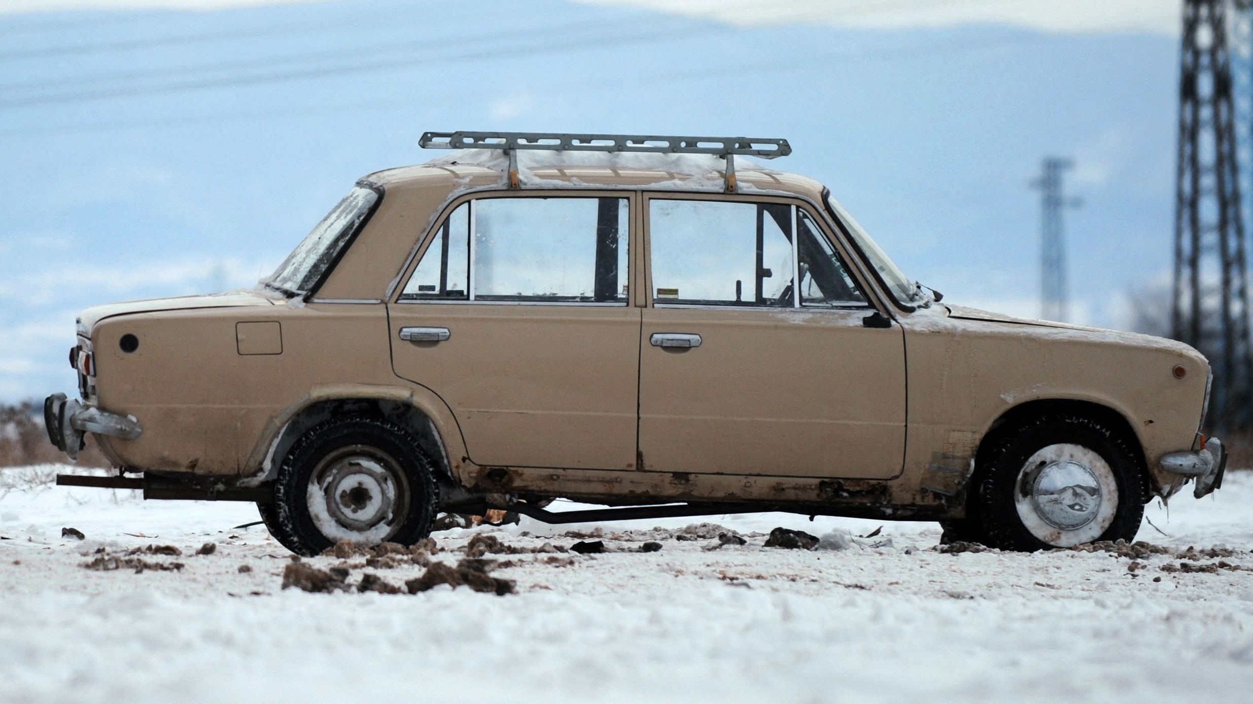 TOPSHOT-BULGARIA-UKRAINE-RUSSIA-ENERGY-GAS-ANIMALS-OFFBEAT