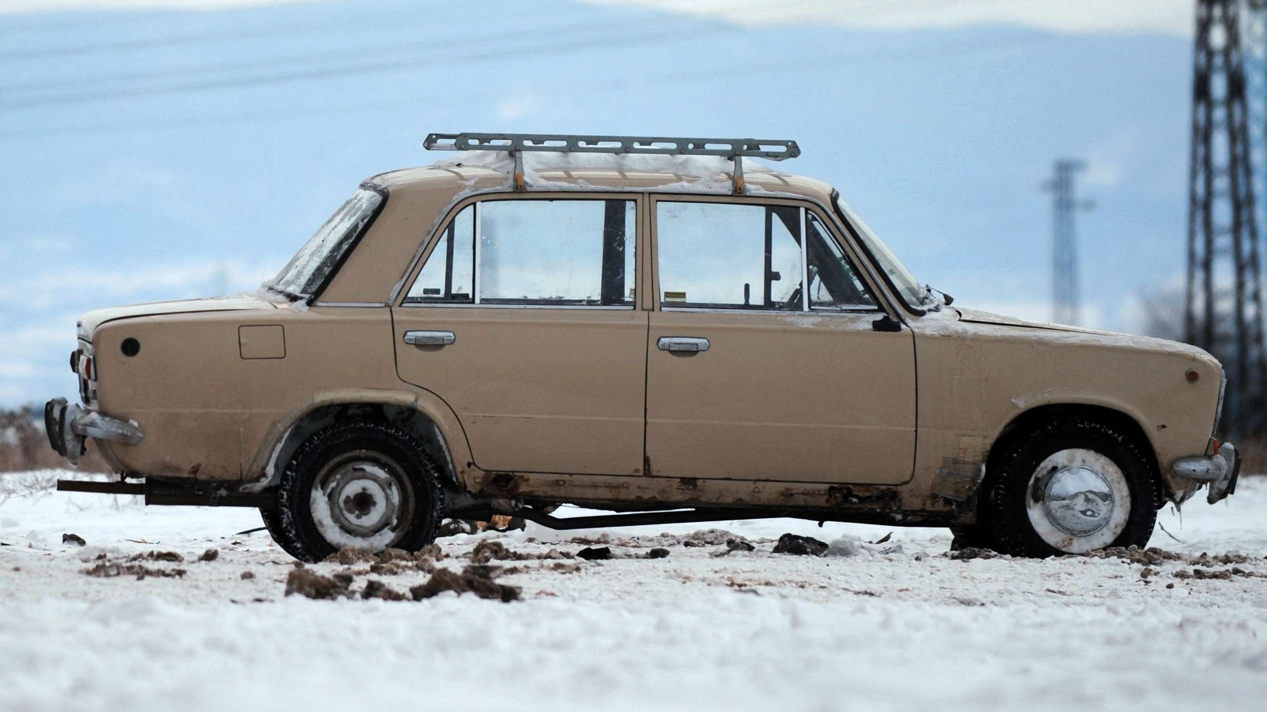 TOPSHOT-BULGARIA-UKRAINE-RUSSIA-ENERGY-GAS-ANIMALS-OFFBEAT