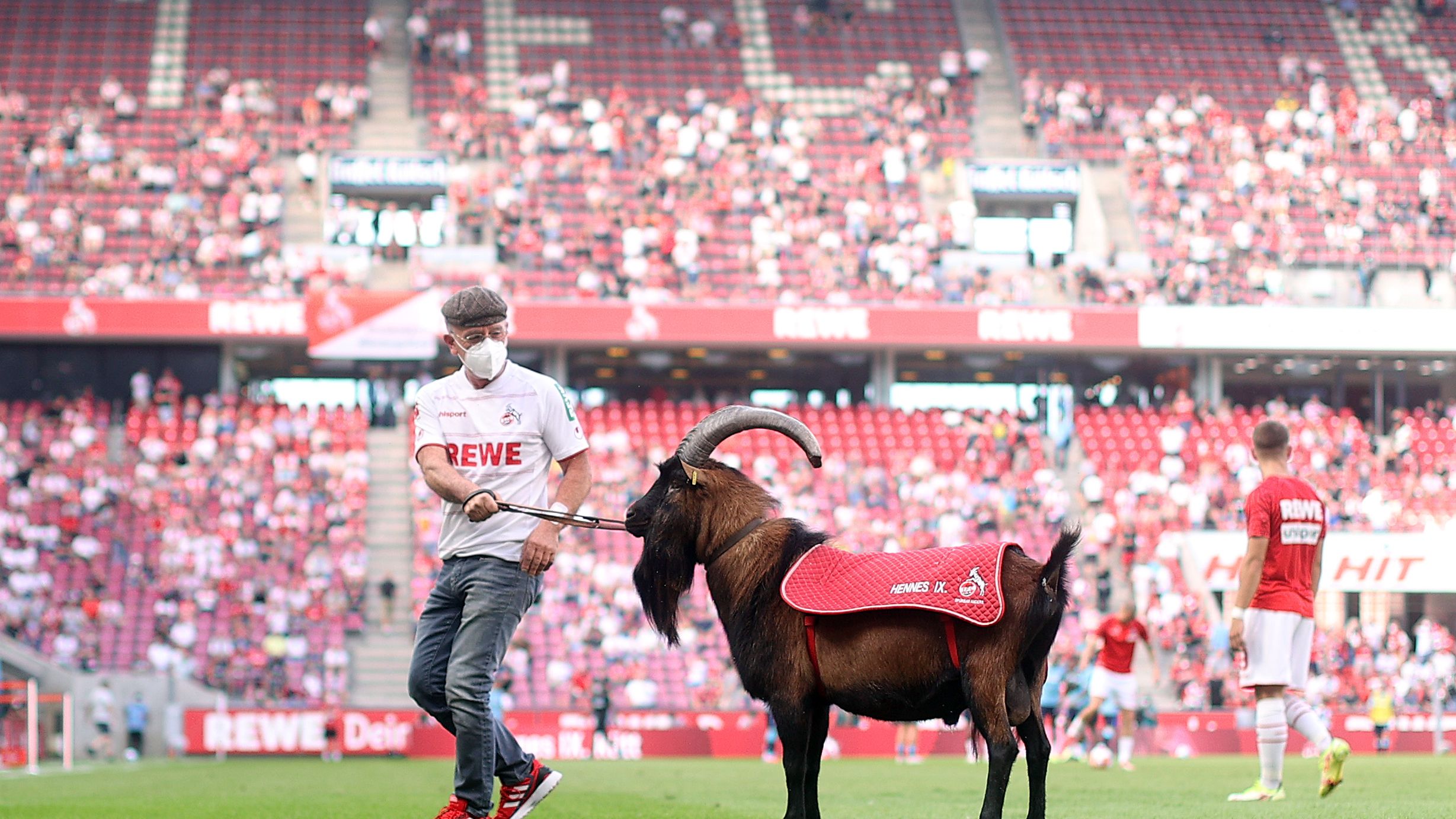 1. FC Köln v Hertha BSC - Bundesliga