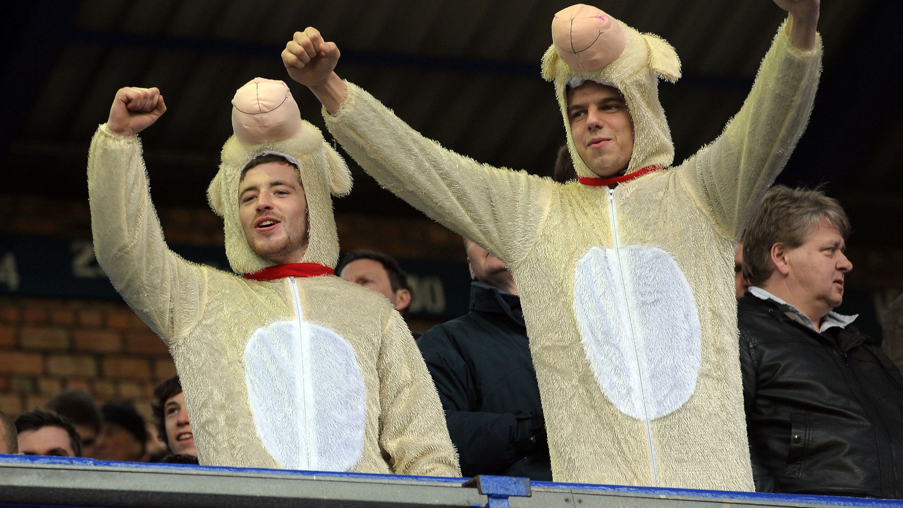Tamworth fans dressed as lambs in the st