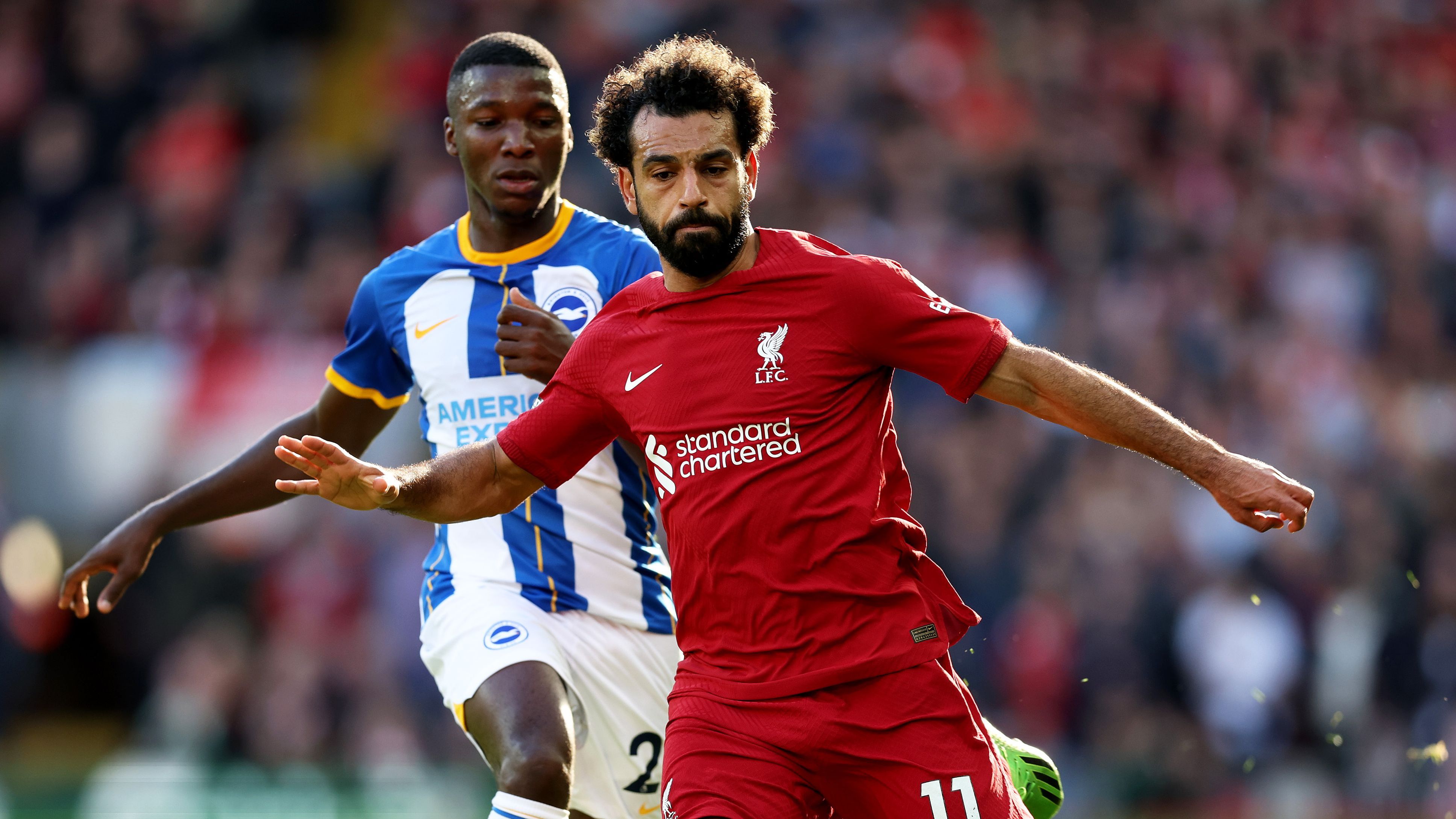 Liverpool FC v Brighton & Hove Albion - Premier League