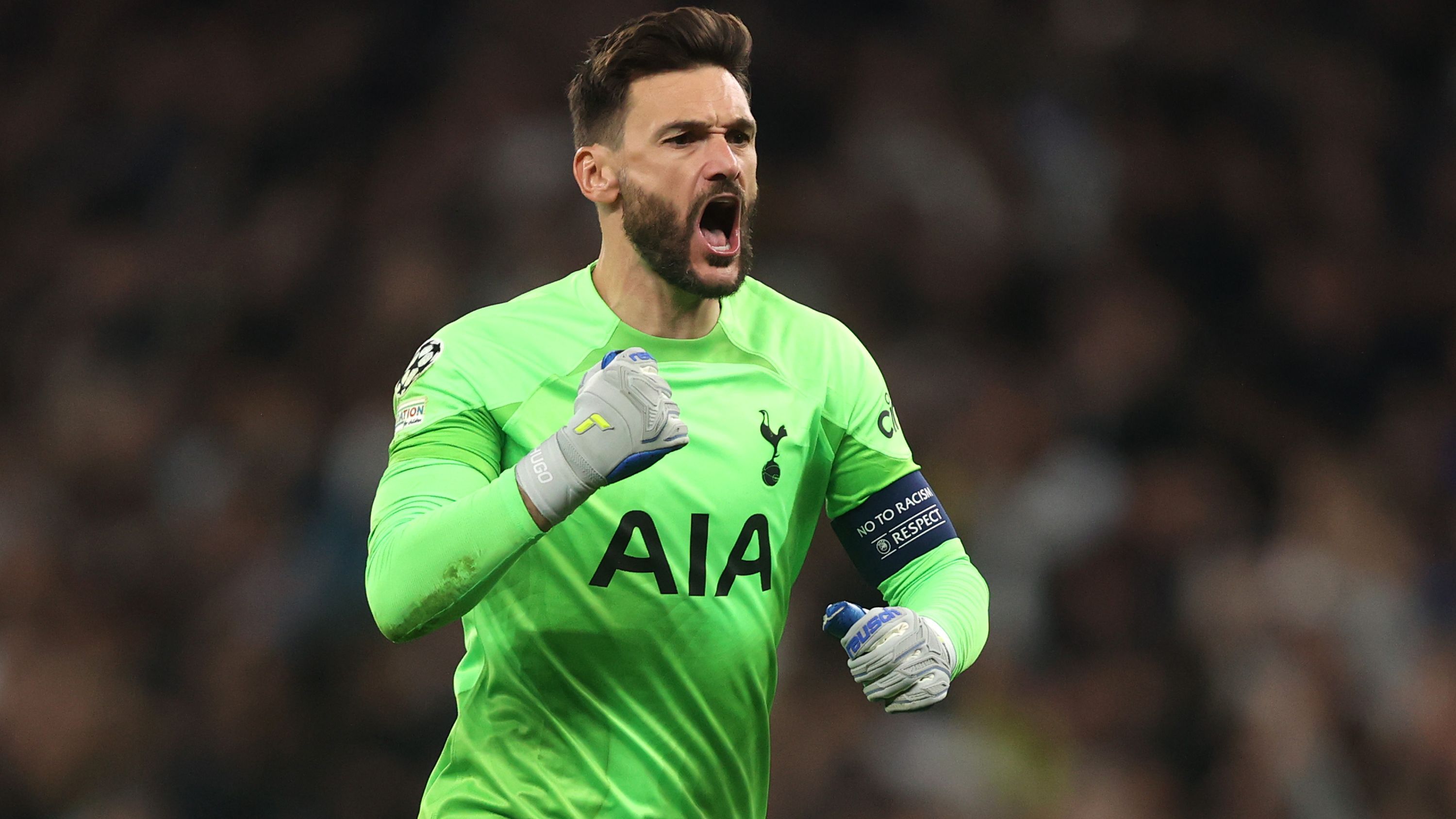 Tottenham Hotspur v Sporting CP: Group D - UEFA Champions League
