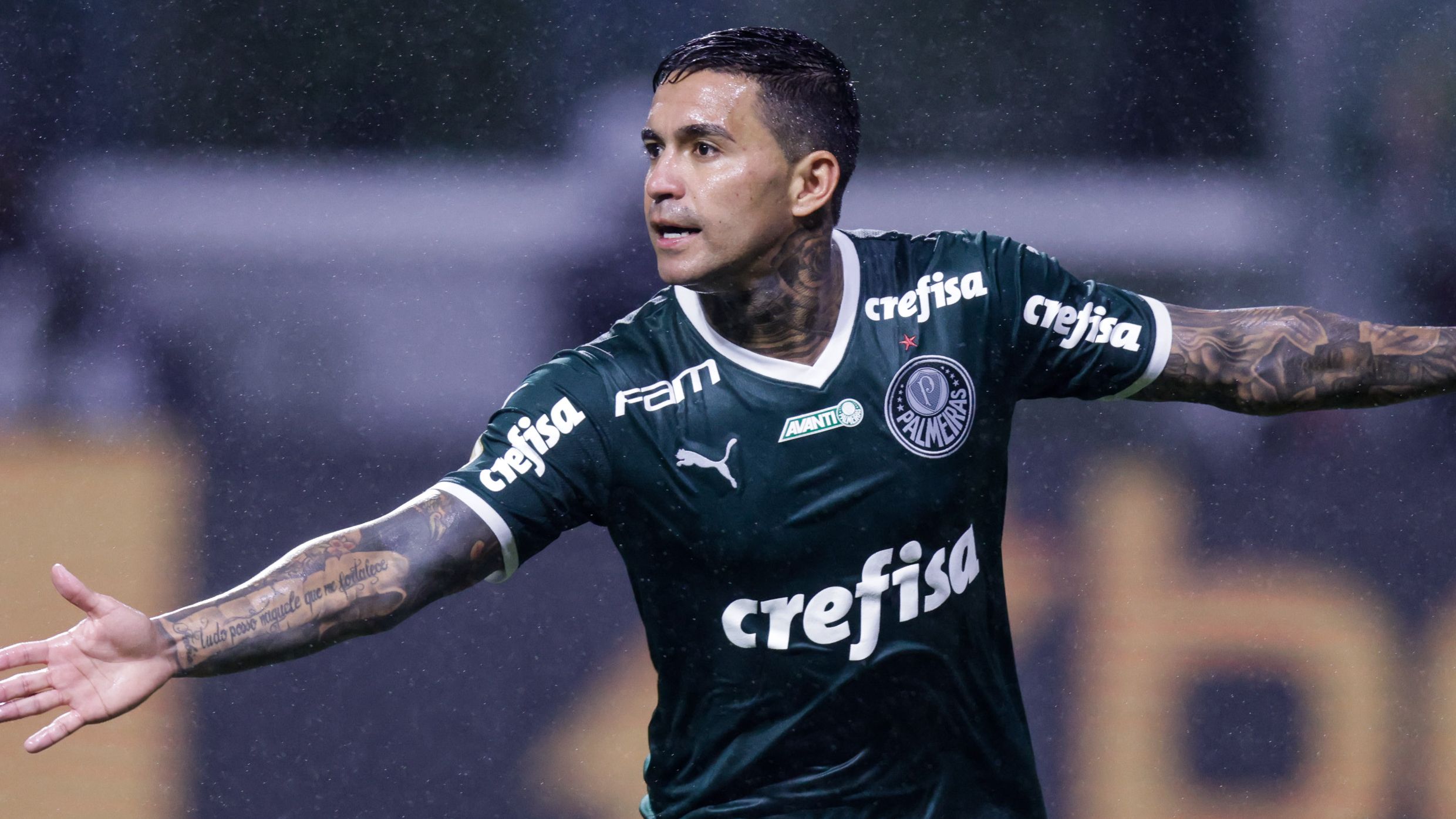 Palmeiras v Fortaleza - Brasileirao 2022