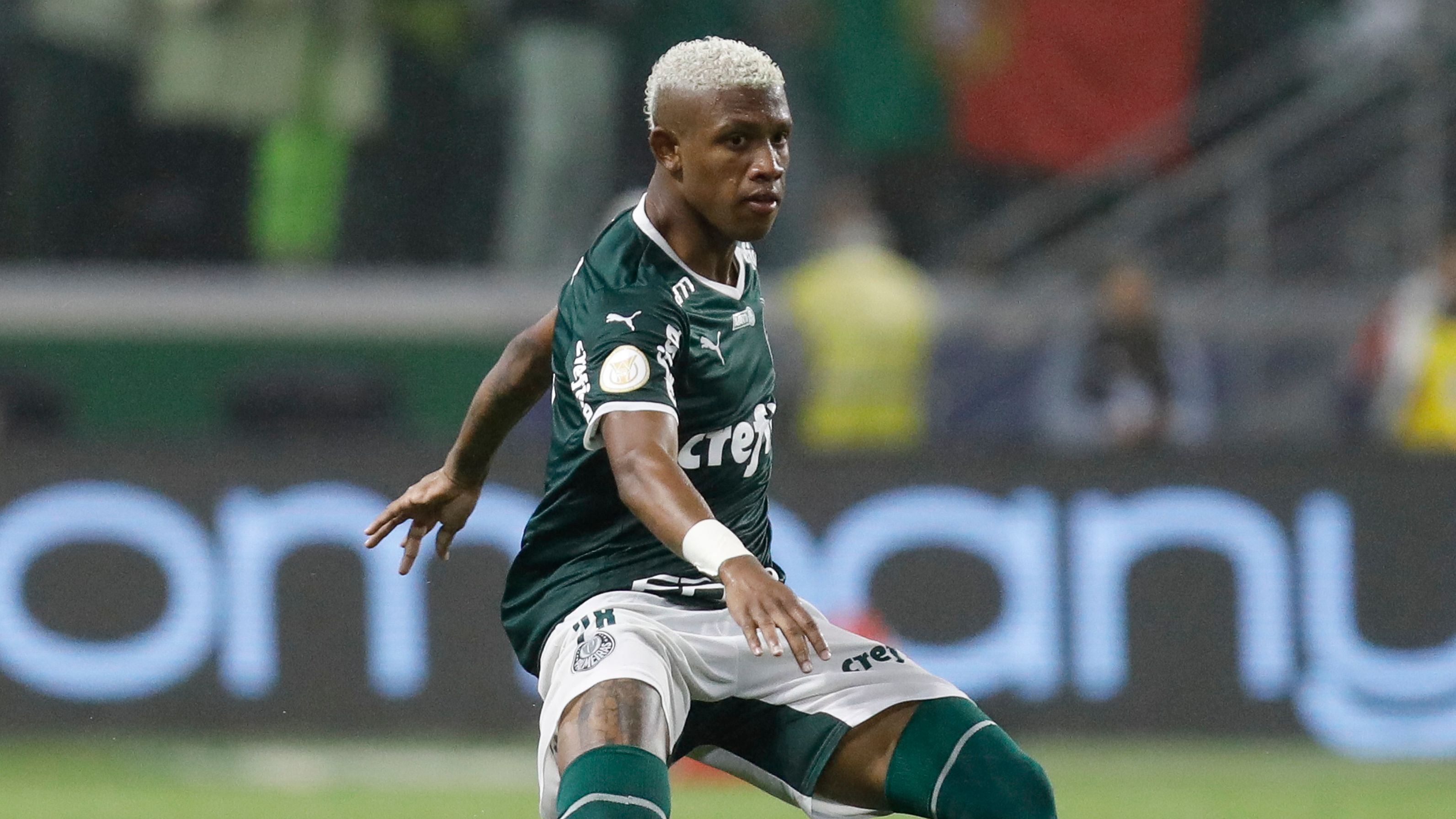Palmeiras v Fortaleza - Brasileirao 2022
