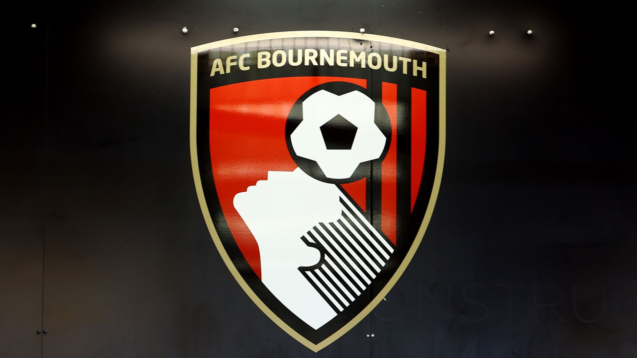 AFC Bournemouth v Leeds United - Premier League