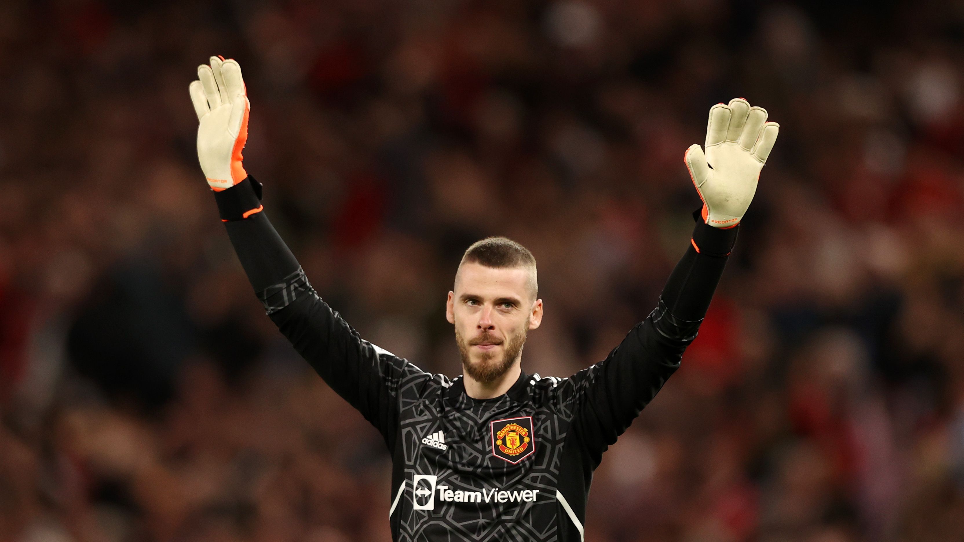 Ex-Man Utd goalkeeper David de Gea explains break from football before Fiorentina move as he insists he 'never thought about retiring' thumbnail