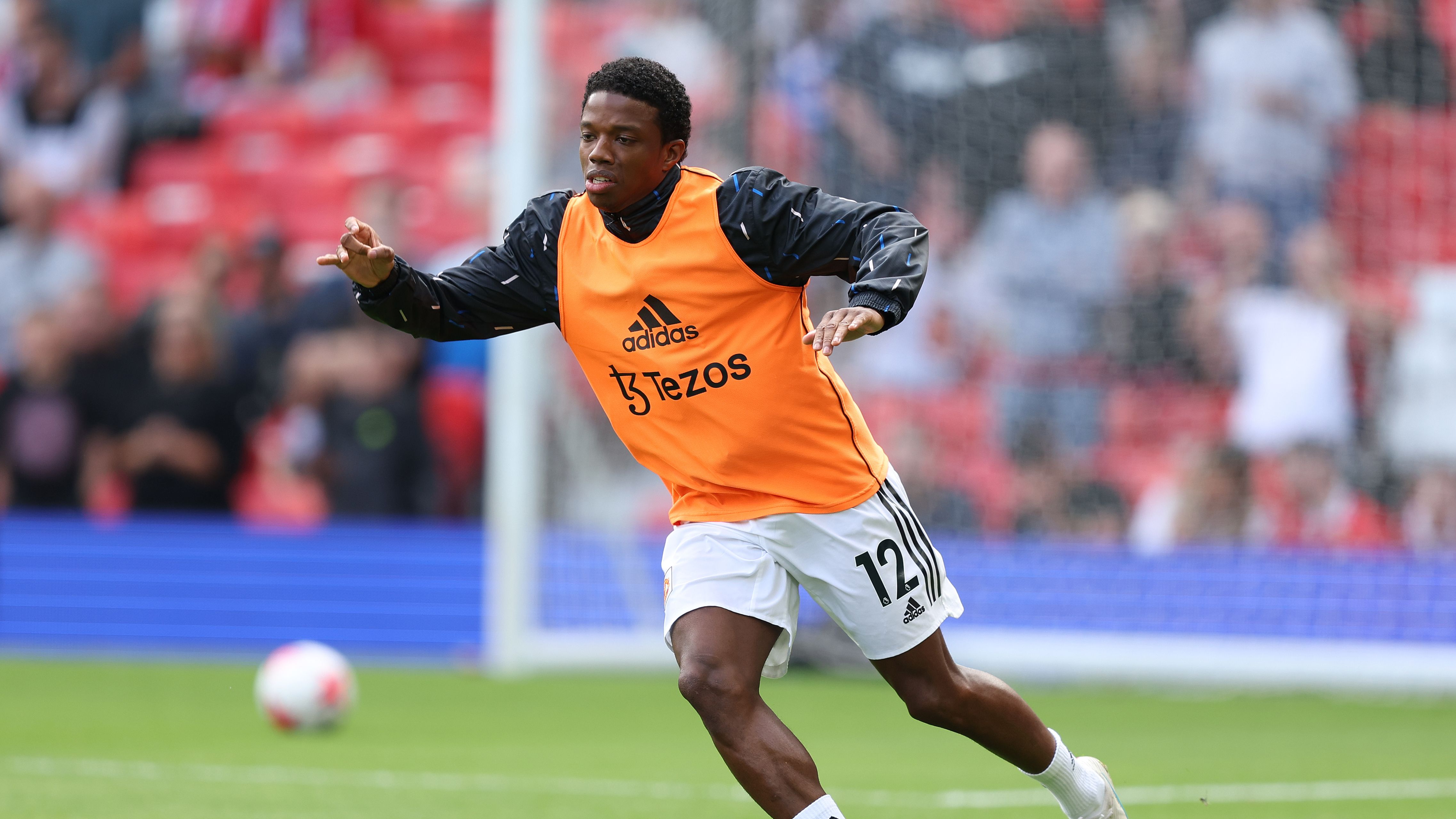 Manchester United v Fulham FC - Premier League