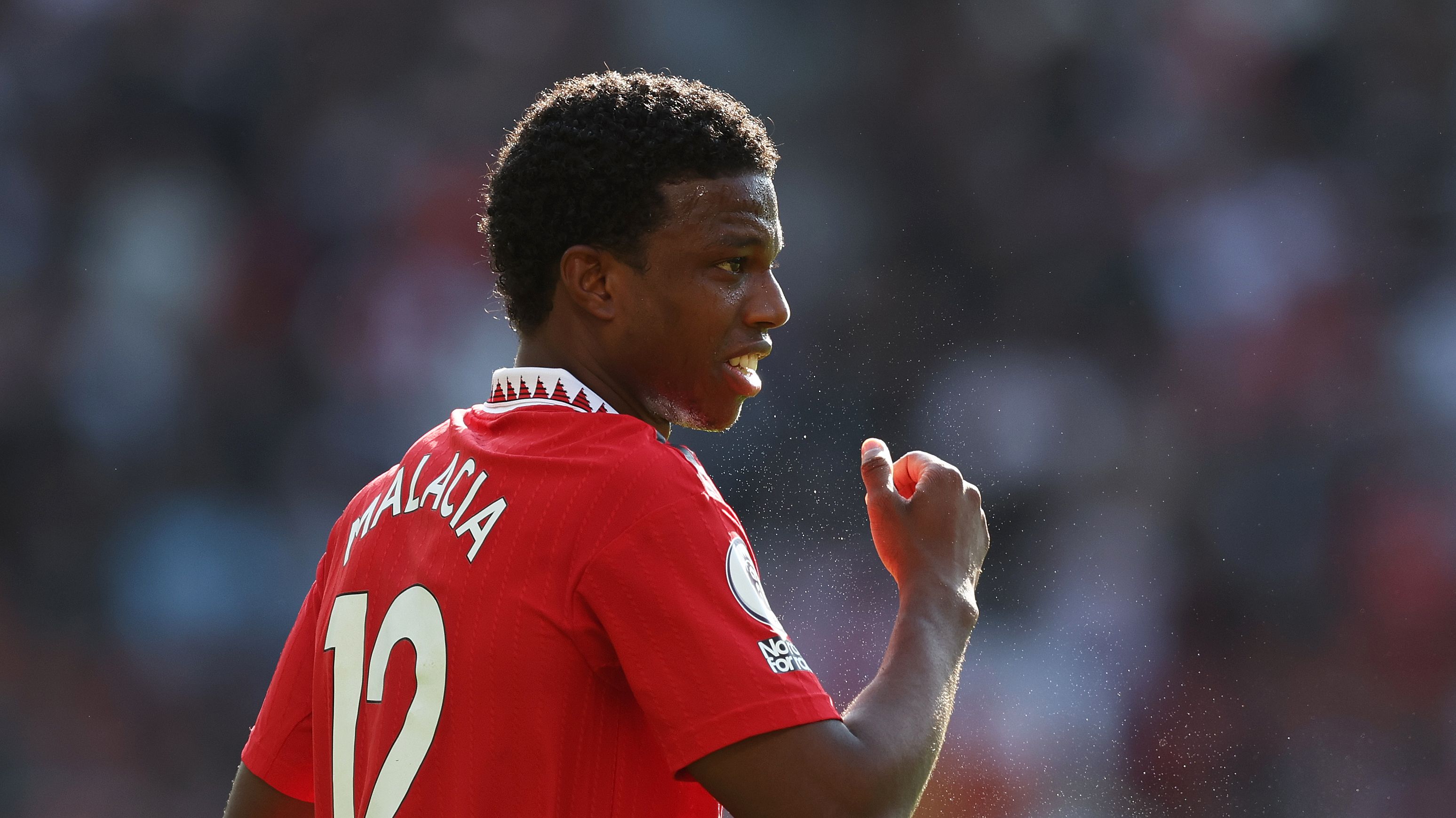 Manchester United v Fulham FC - Premier League