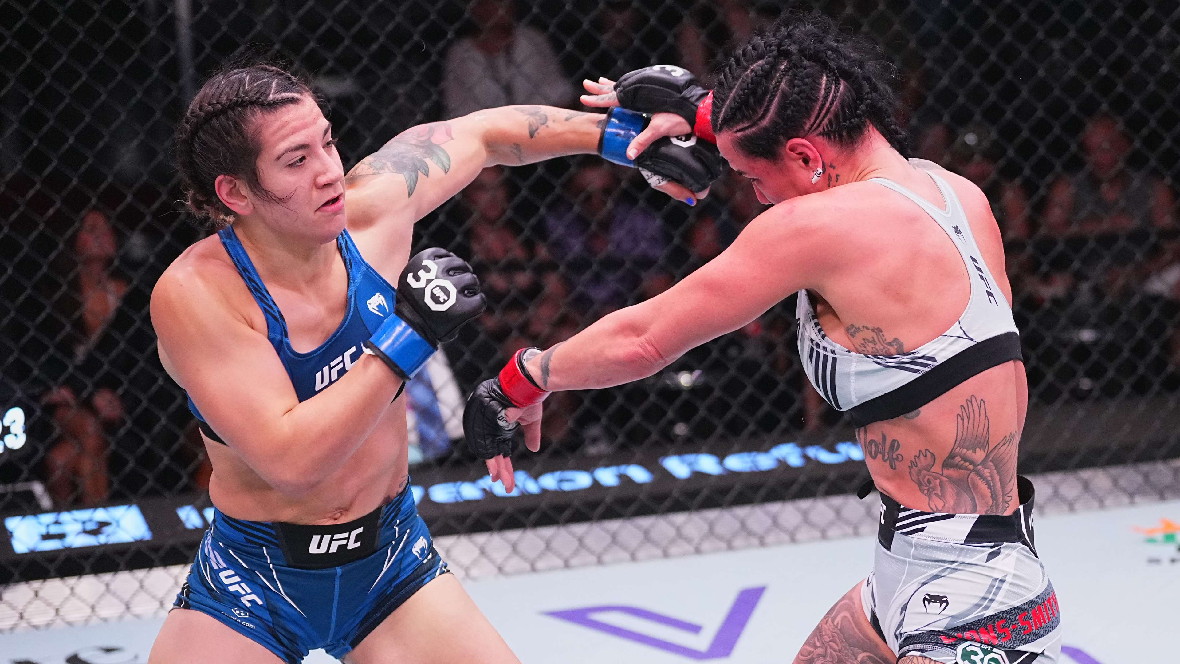 UFC Fight Night: Evans-Smith v Perez