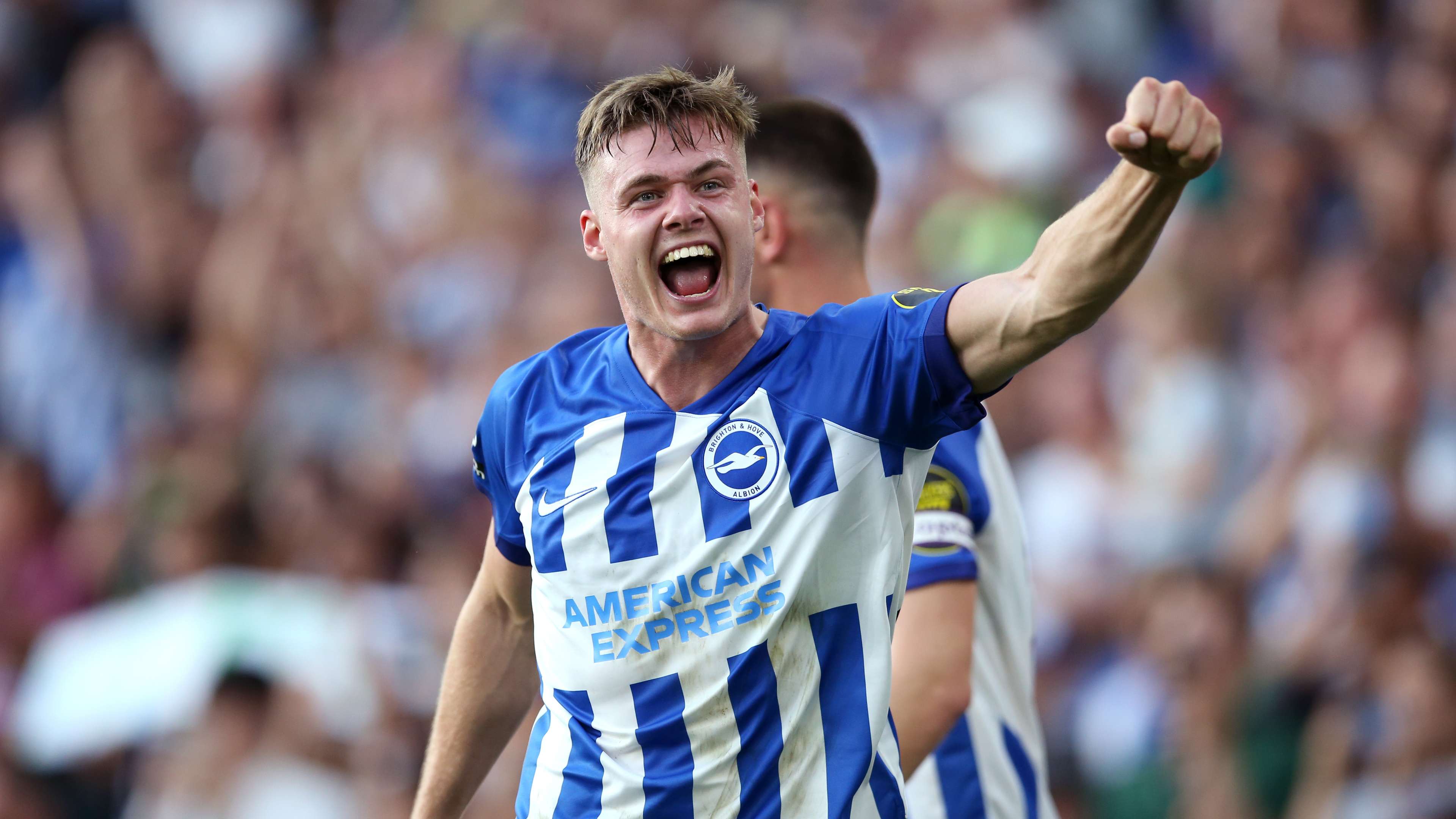 Brighton & Hove Albion v Newcastle United - Premier League