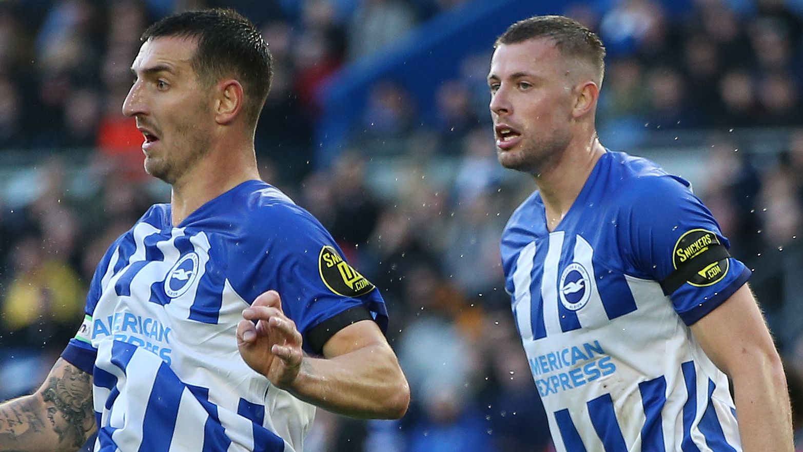 Brighton & Hove Albion v Fulham FC - Premier League