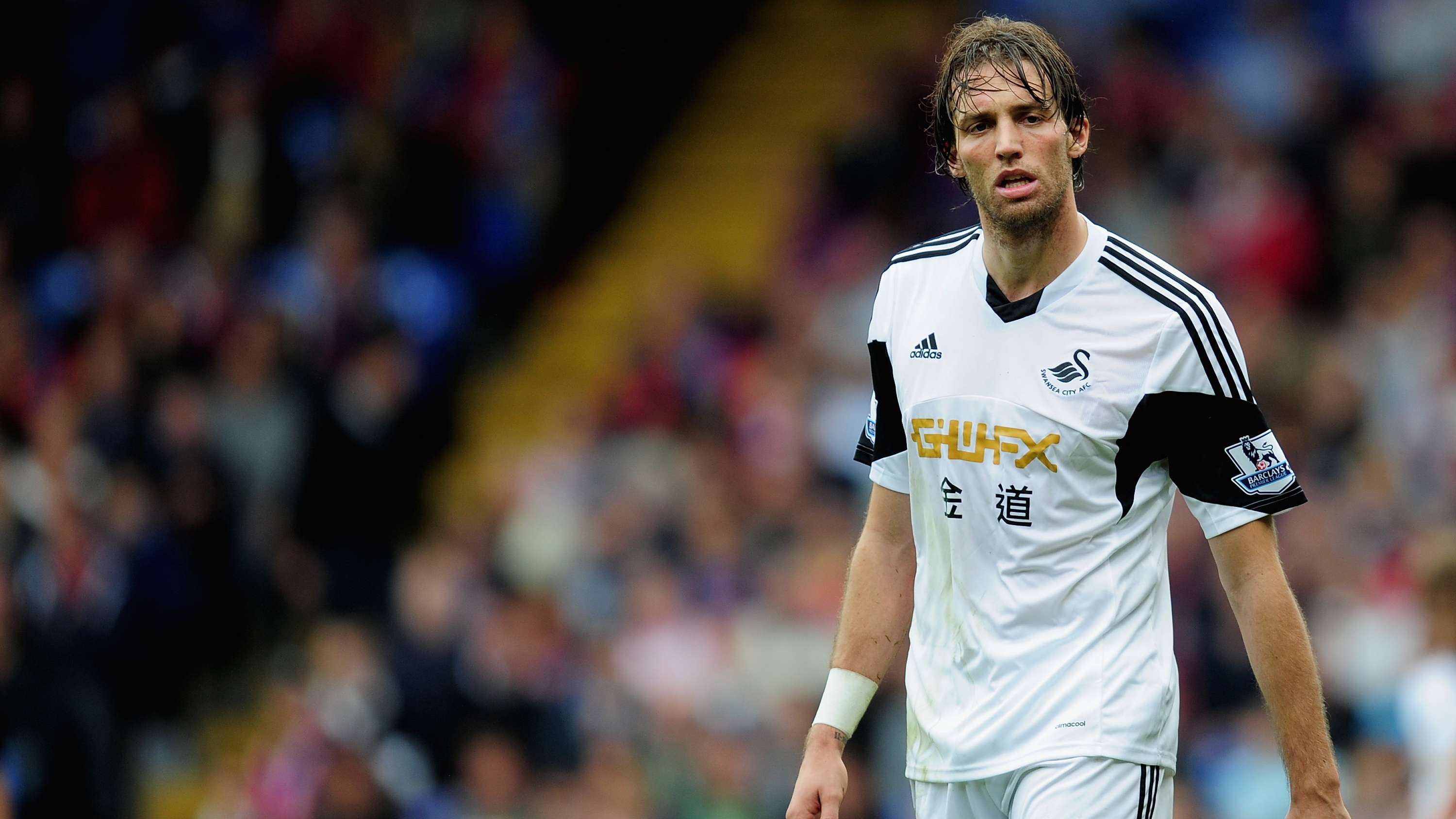 Crystal Palace v Swansea City - Premier League