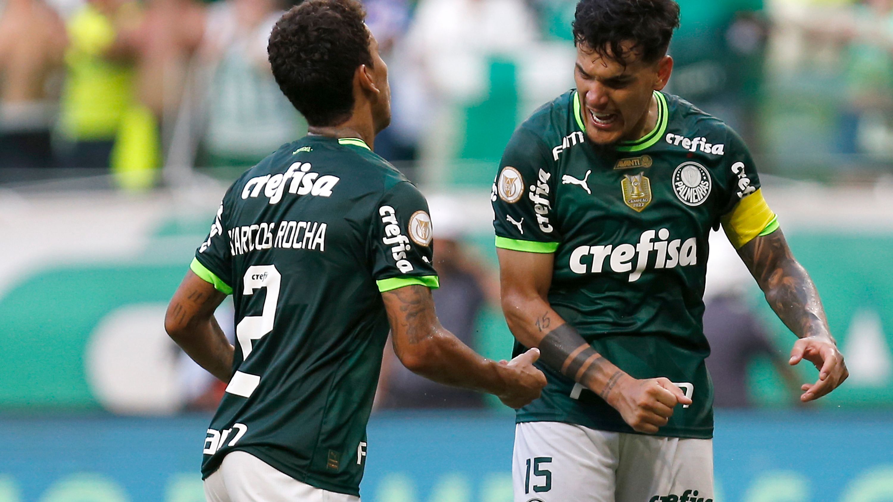 Palmeiras v Fluminense - Brasileirao 2023