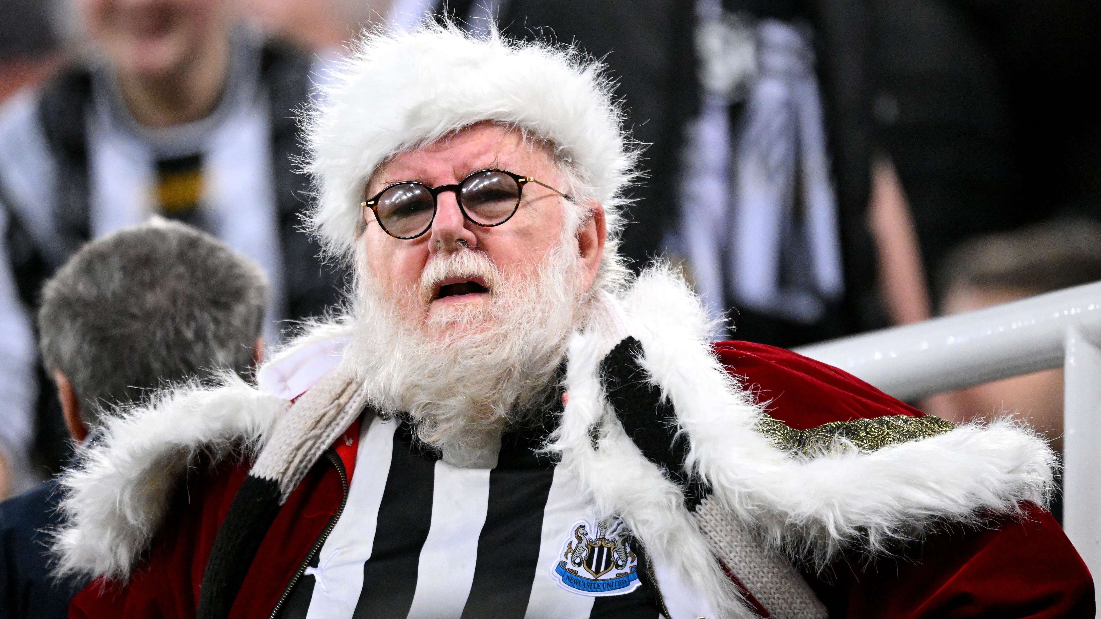 Newcastle United v Fulham FC - Premier League