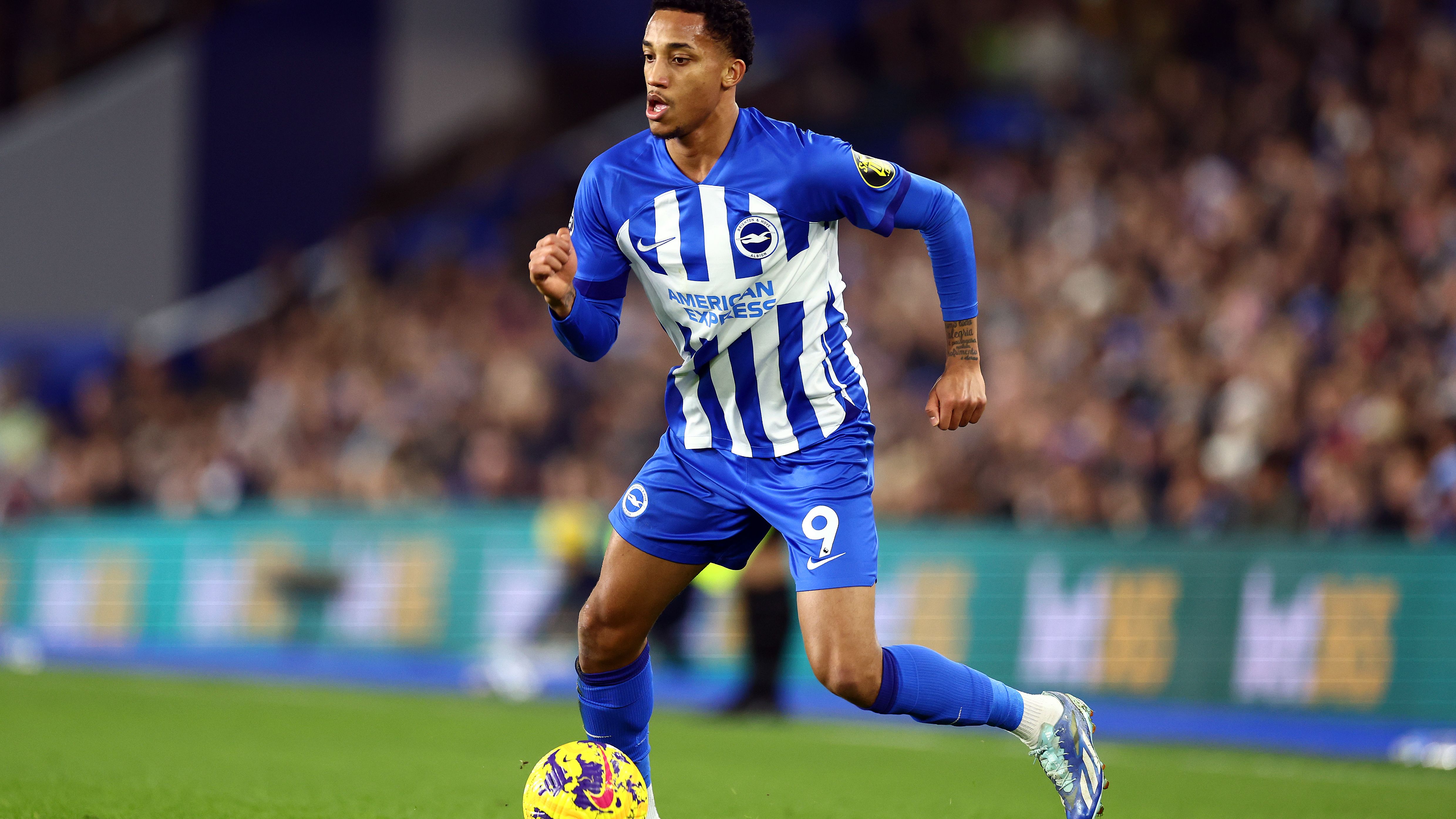 Brighton & Hove Albion v Tottenham Hotspur - Premier League
