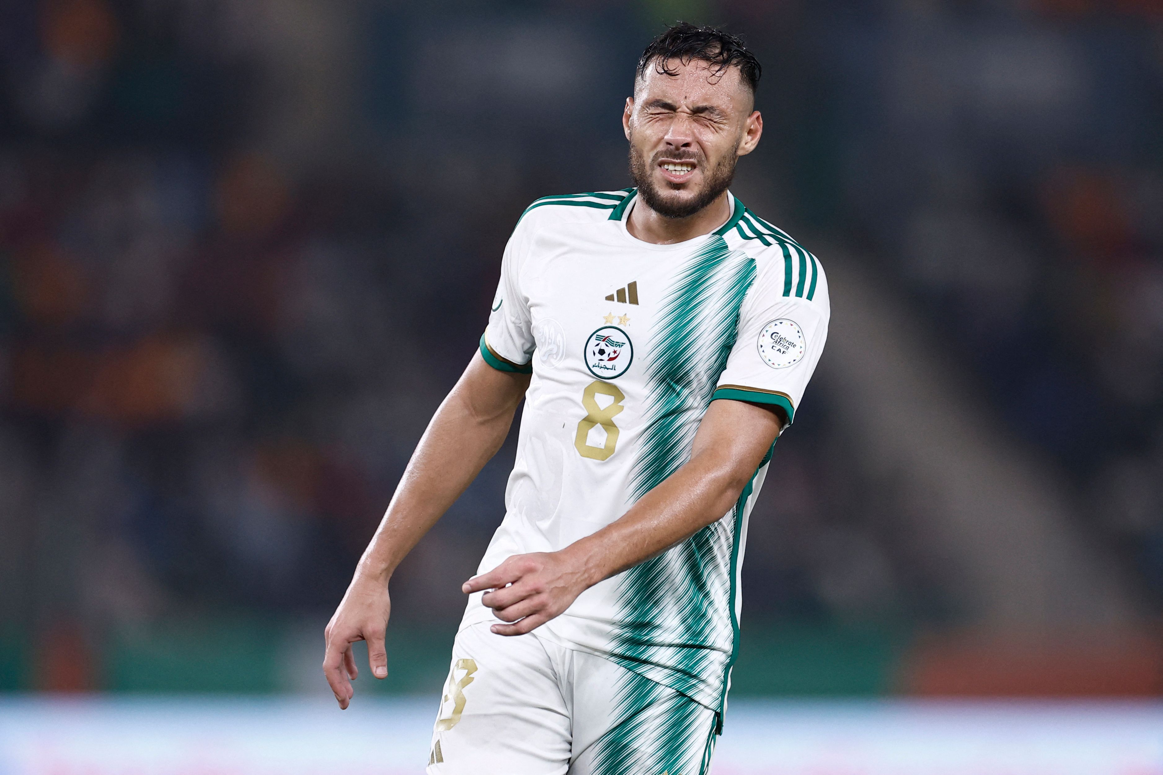 FBL-CAN-2024-ALG-ANG