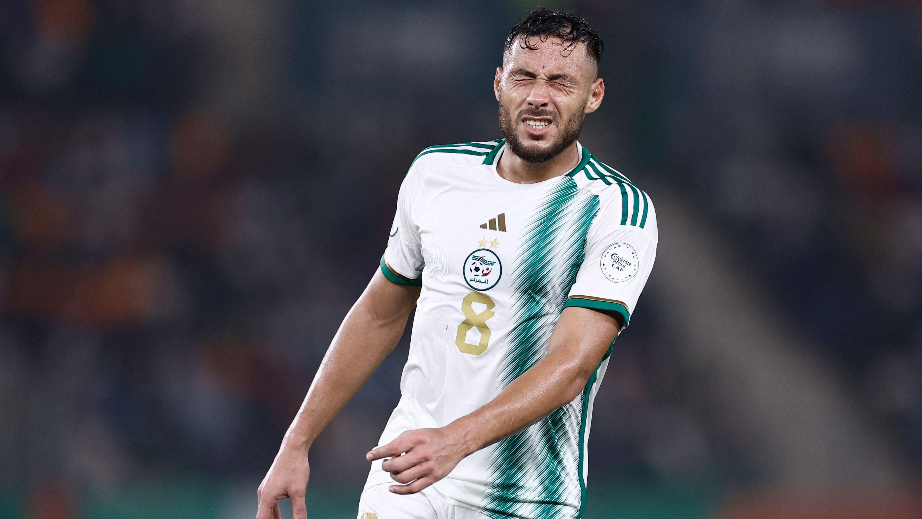 FBL-CAN-2024-ALG-ANG