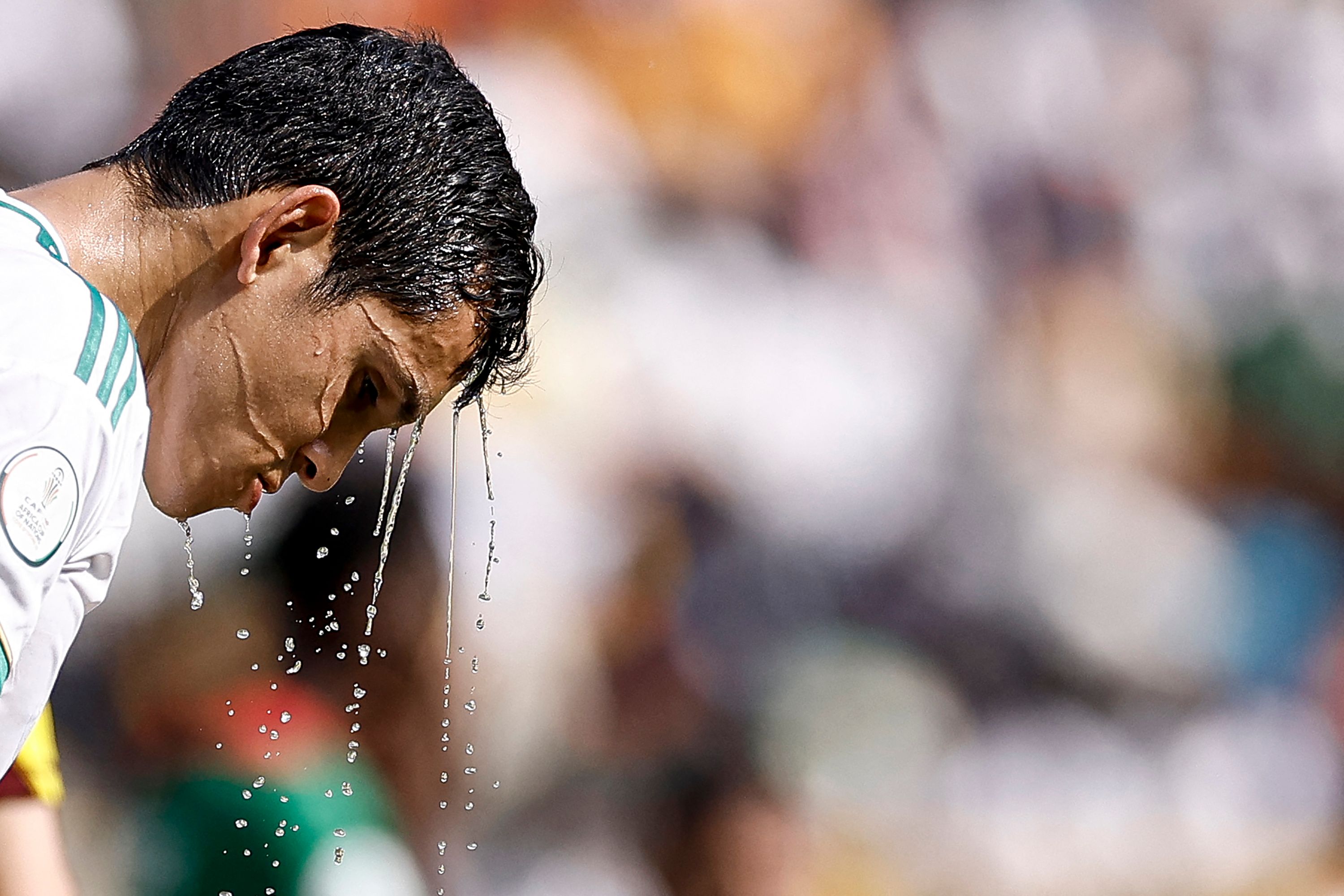 FBL-CAN-2024-ALG-BFA