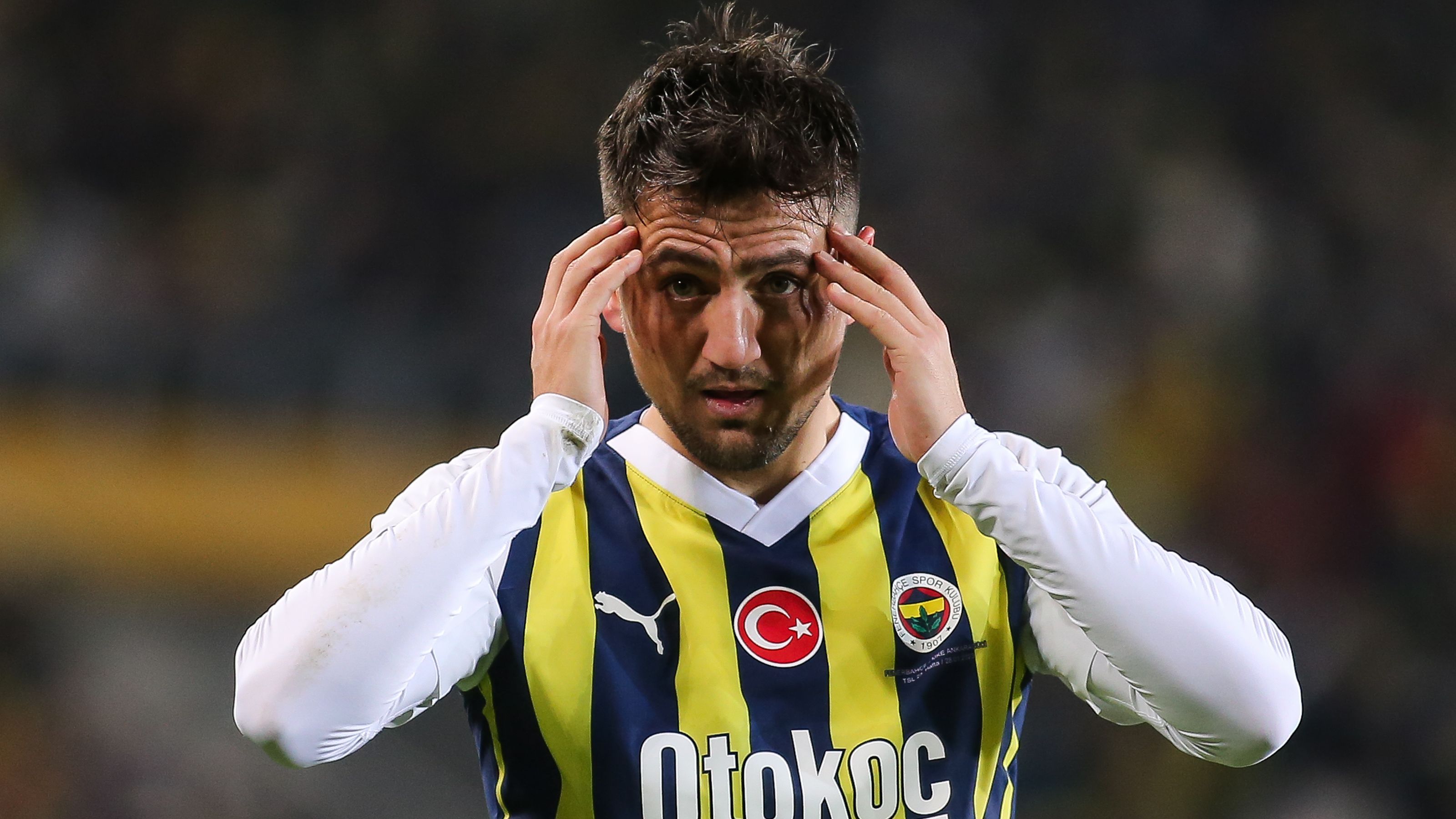 Fenerbahce v Ankaragucu - Turkish Super League