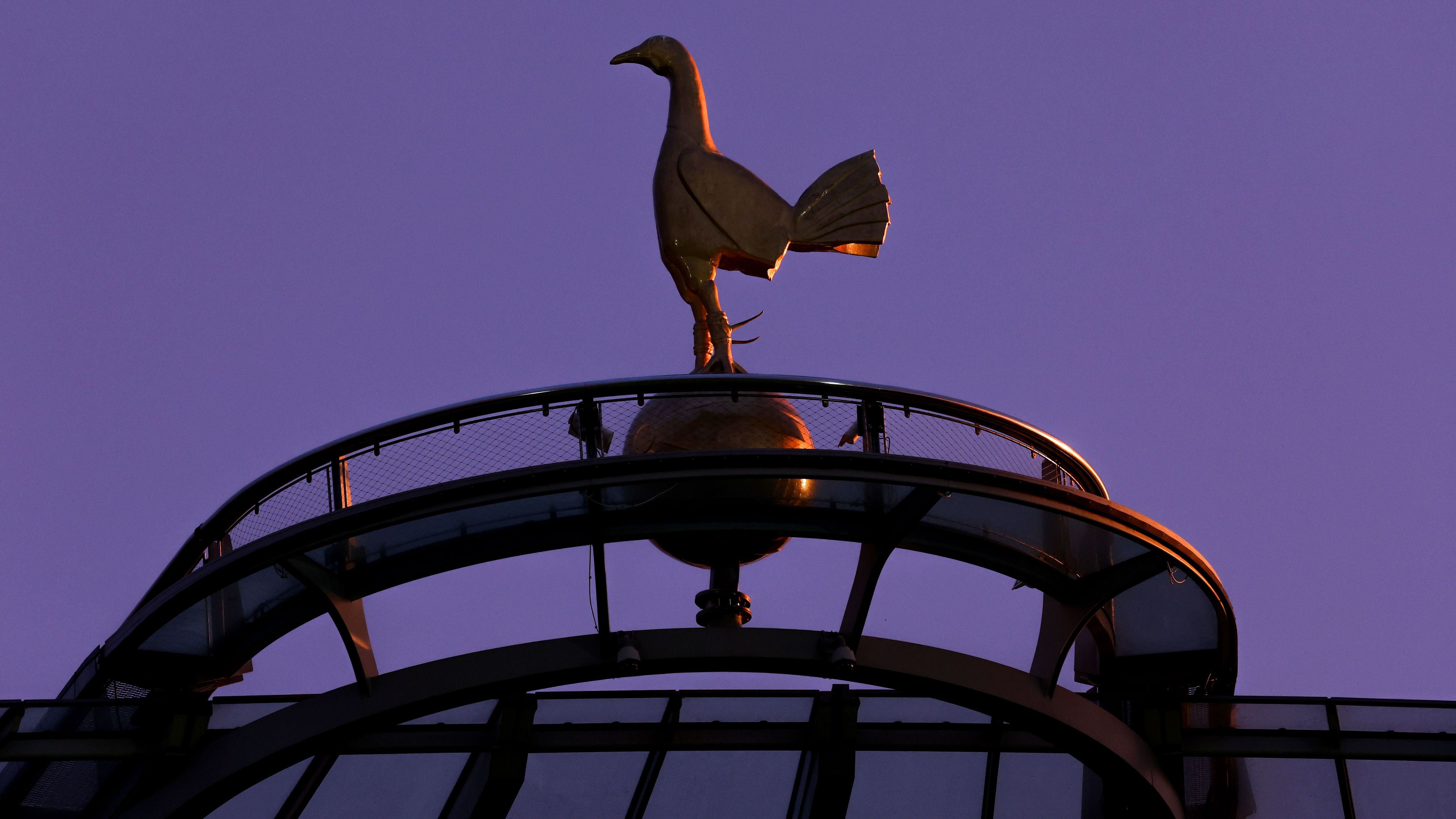 Tottenham Hotspur v Brighton & Hove Albion - Premier League