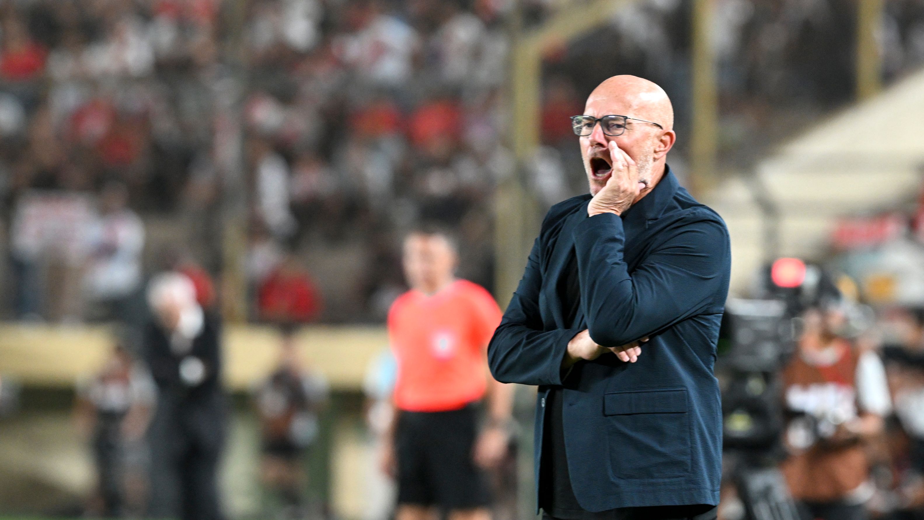 FBL-FRIENDLY-PER-DOM