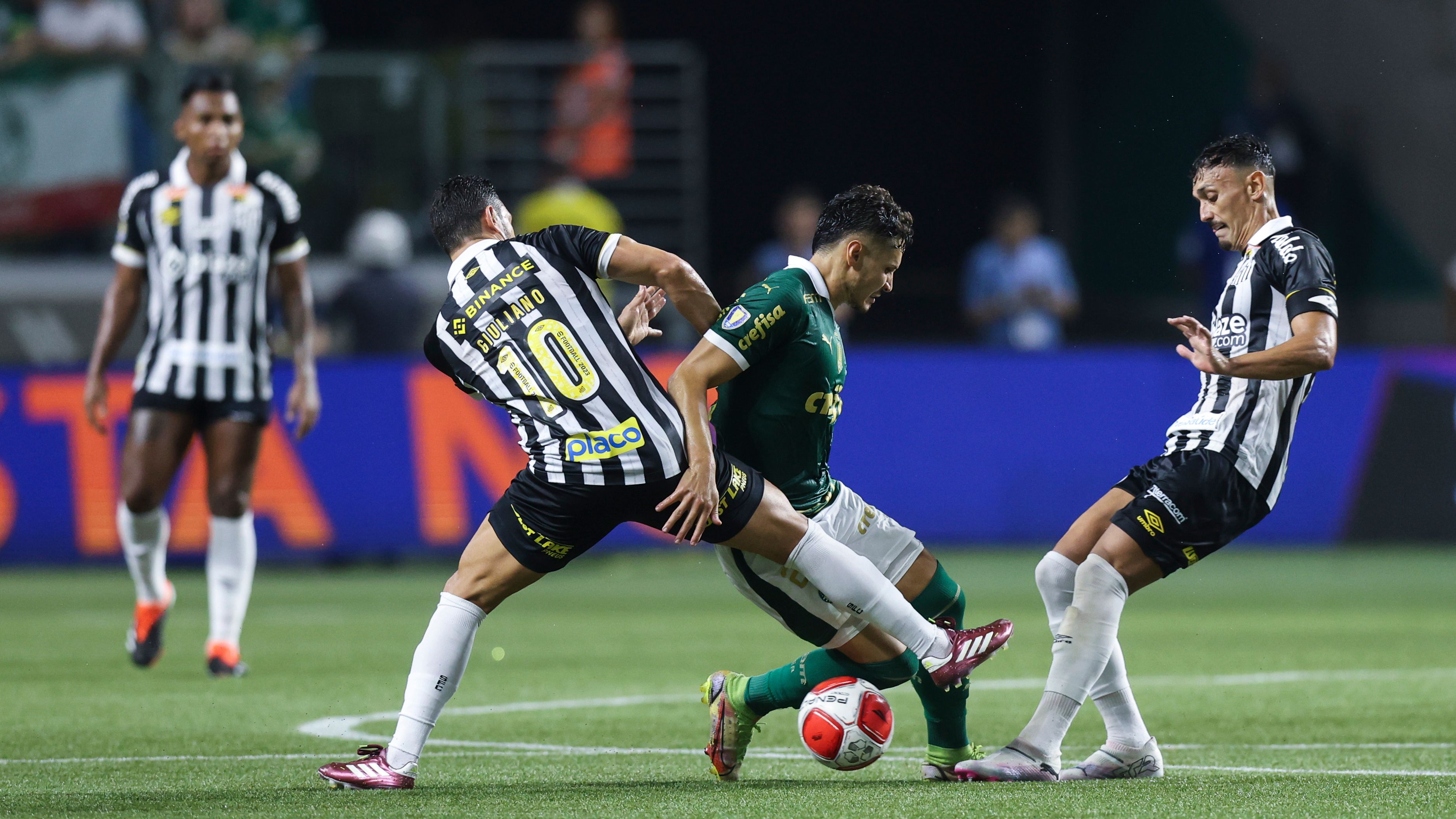 Palmeiras v Santos - Paulistao 2024