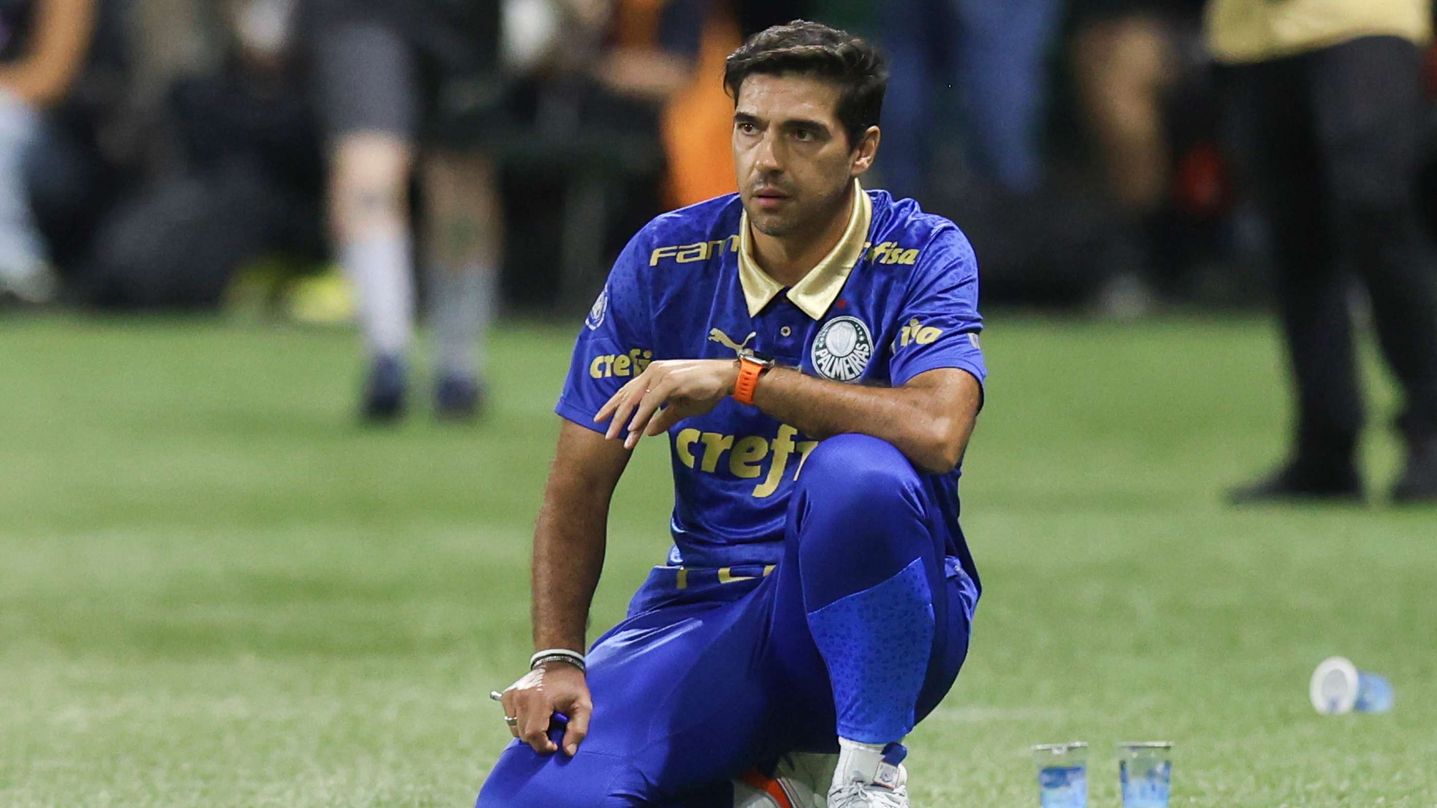 Palmeiras v Santos - Paulistao 2024