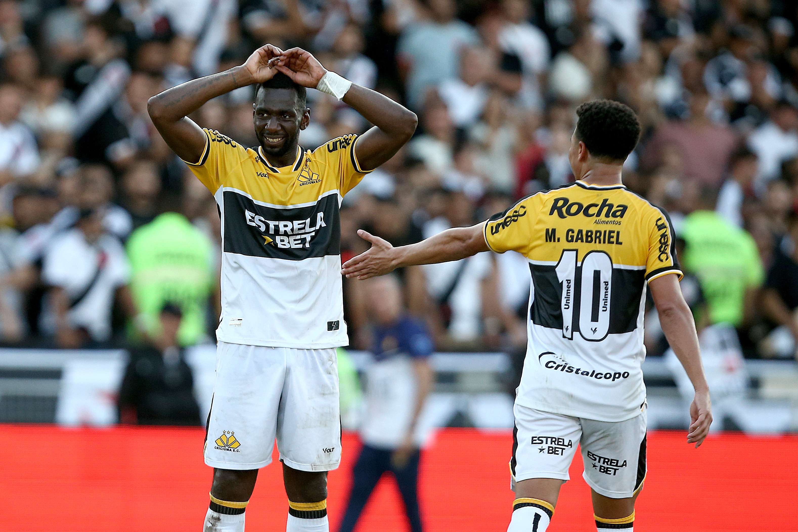 Vasco da Gama v Criciuma - Brasileirao 2024