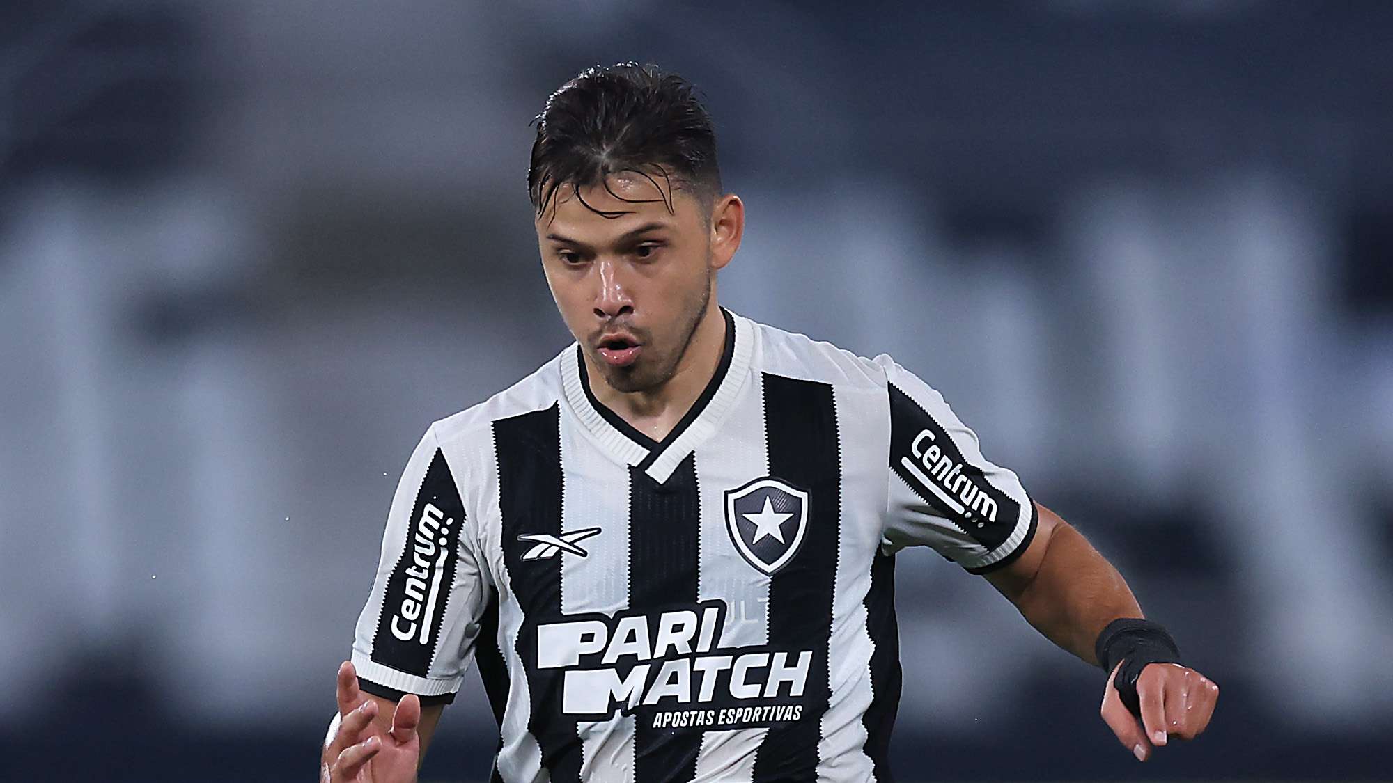 Botafogo v LDU Quito - Copa CONMEBOL Libertadores 2024