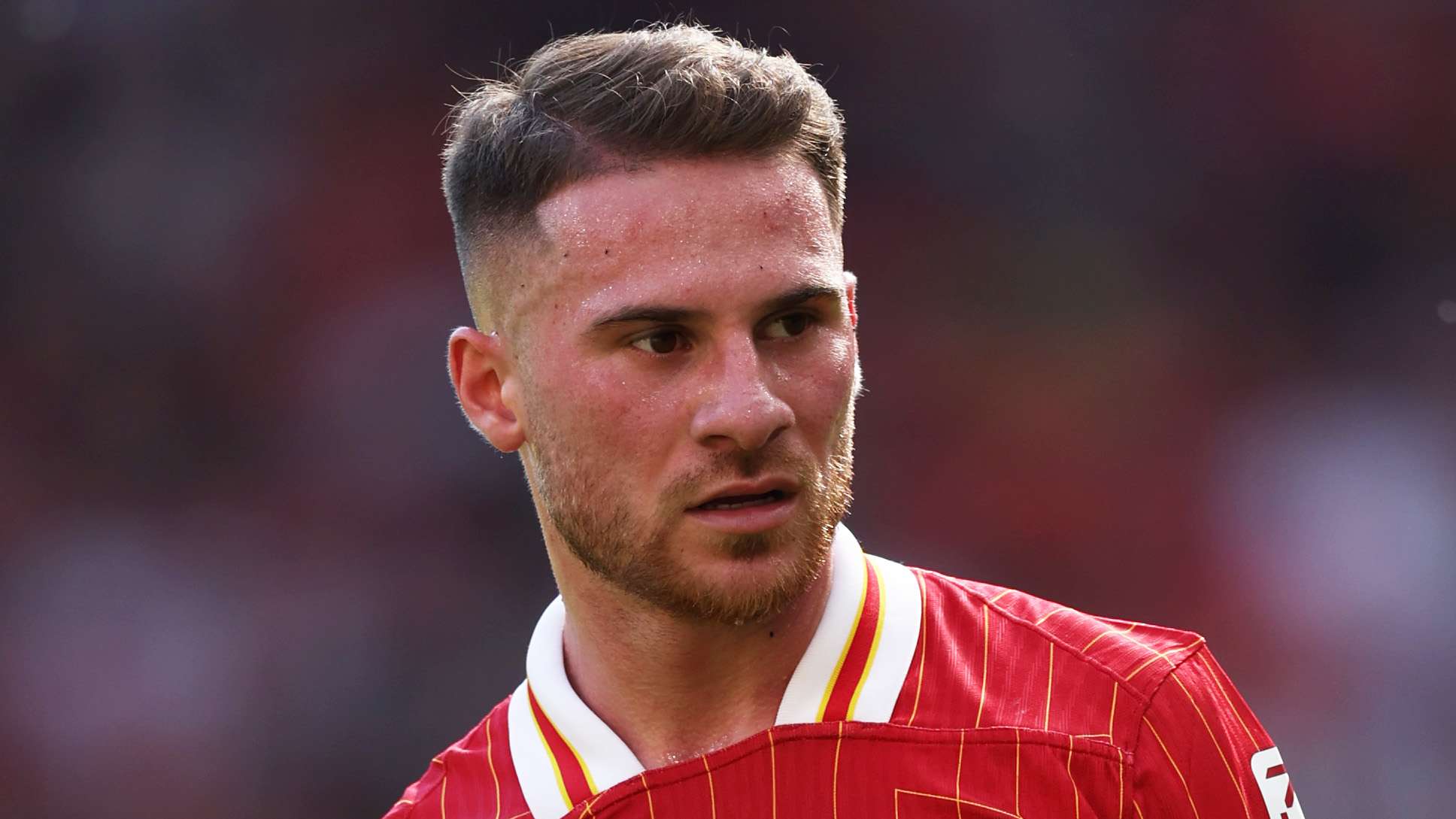 Liverpool FC v Wolverhampton Wanderers - Premier League