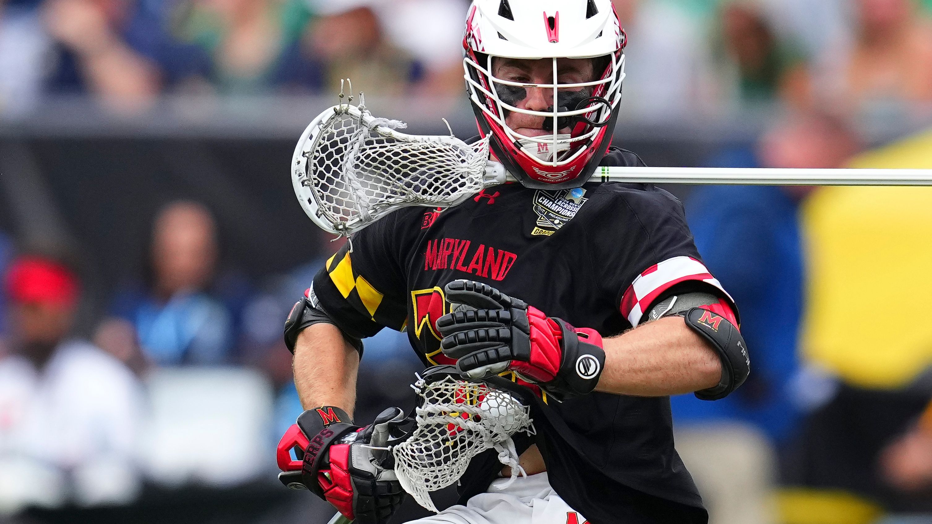 2024 NCAA Division I Men's Lacrosse Championship