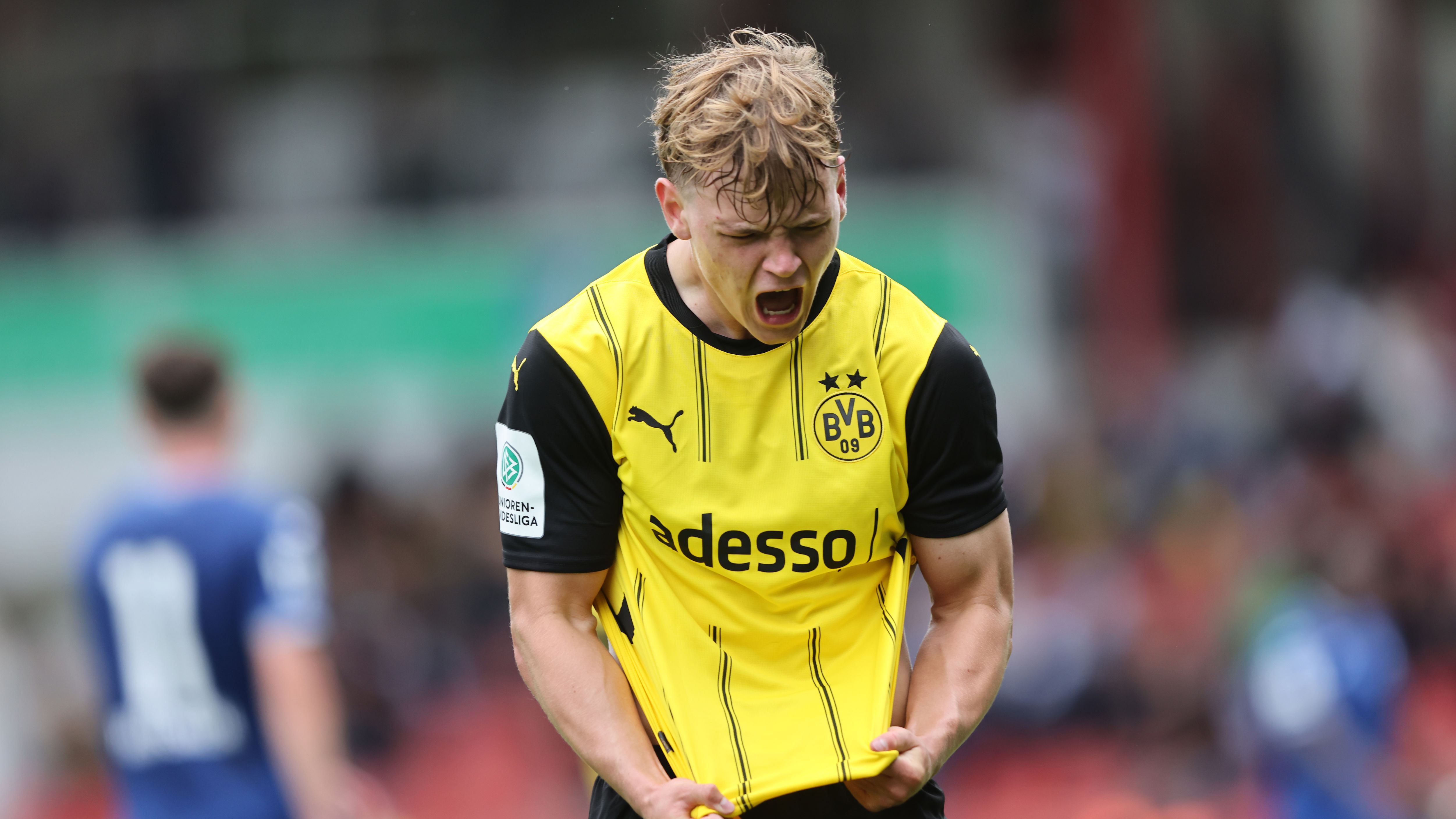 Borussia Dortmund v TSG Hoffenheim - U19 Championship Final