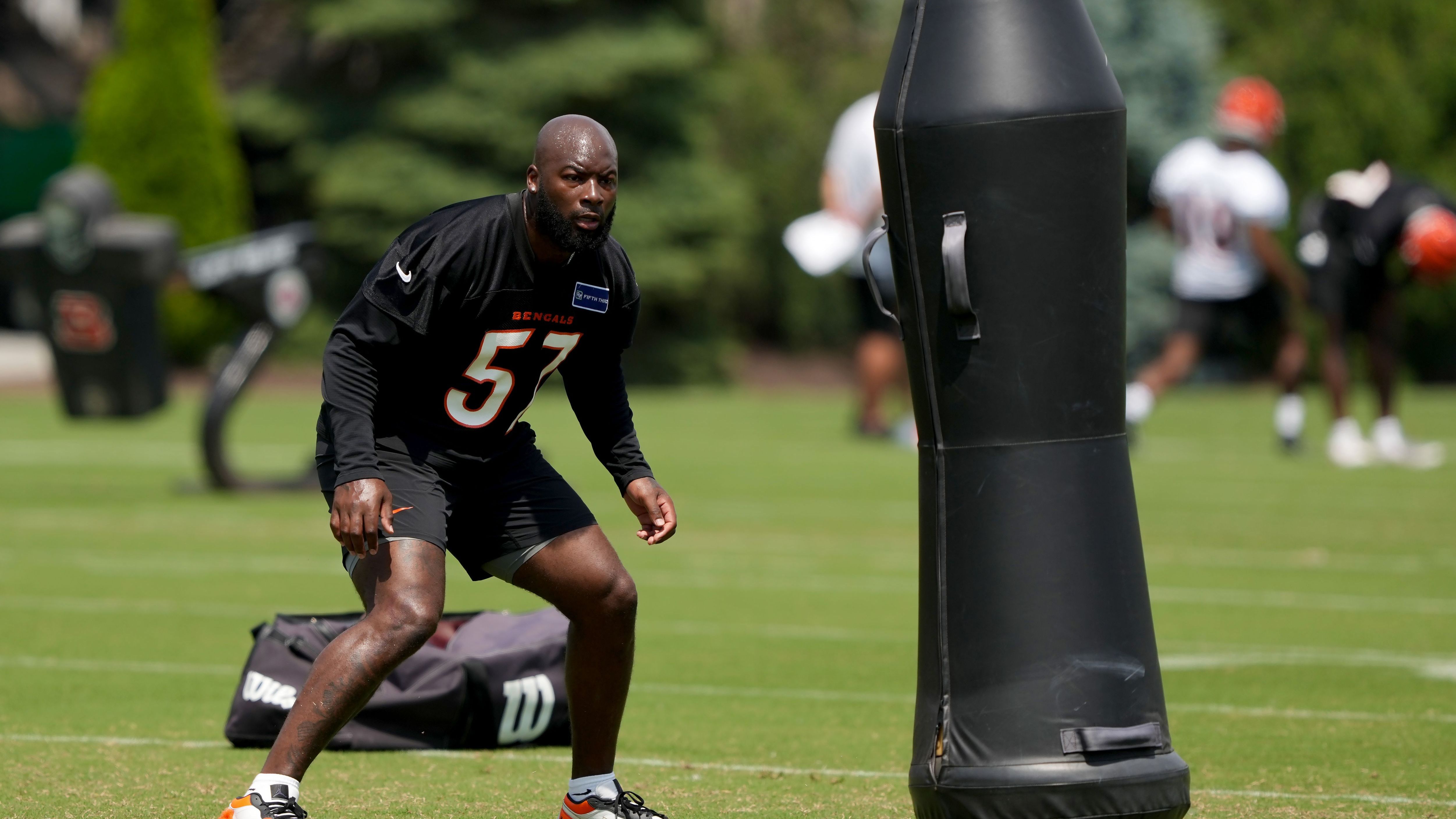 Cincinnati Bengals OTA Offseason Workout