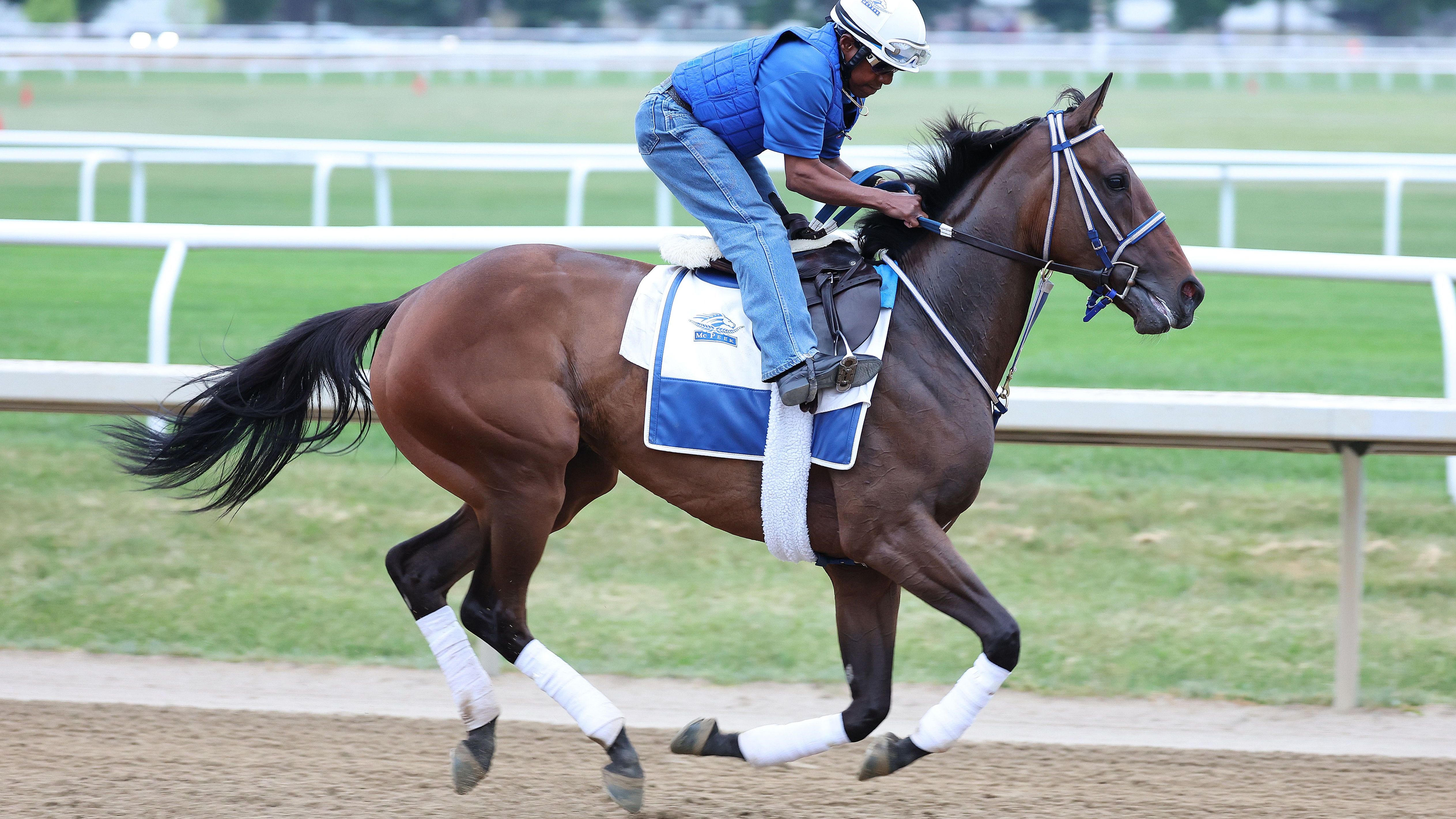 156th Belmont Stakes - Previews