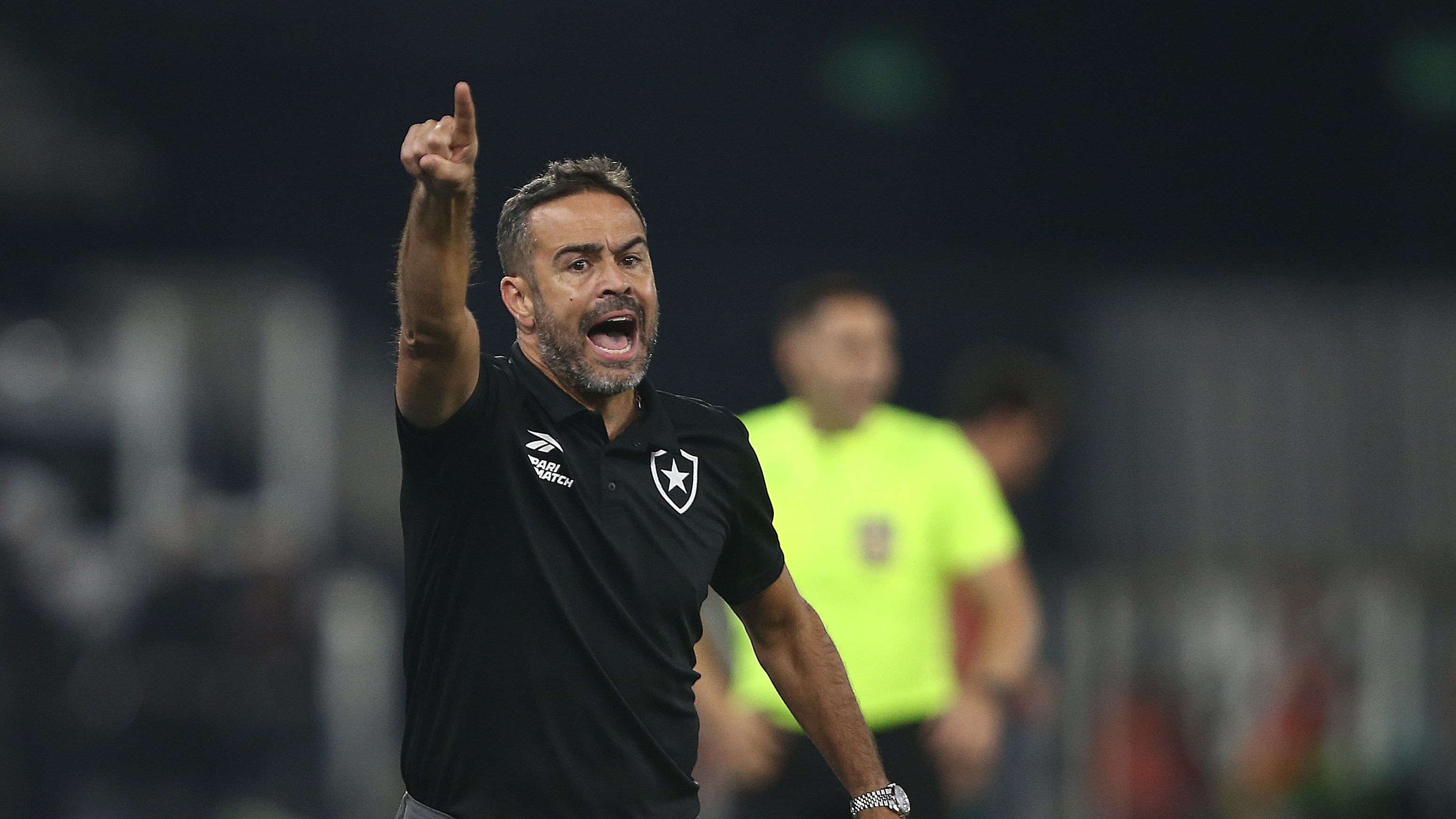 Botafogo v Fluminense - Brasileirao 2024