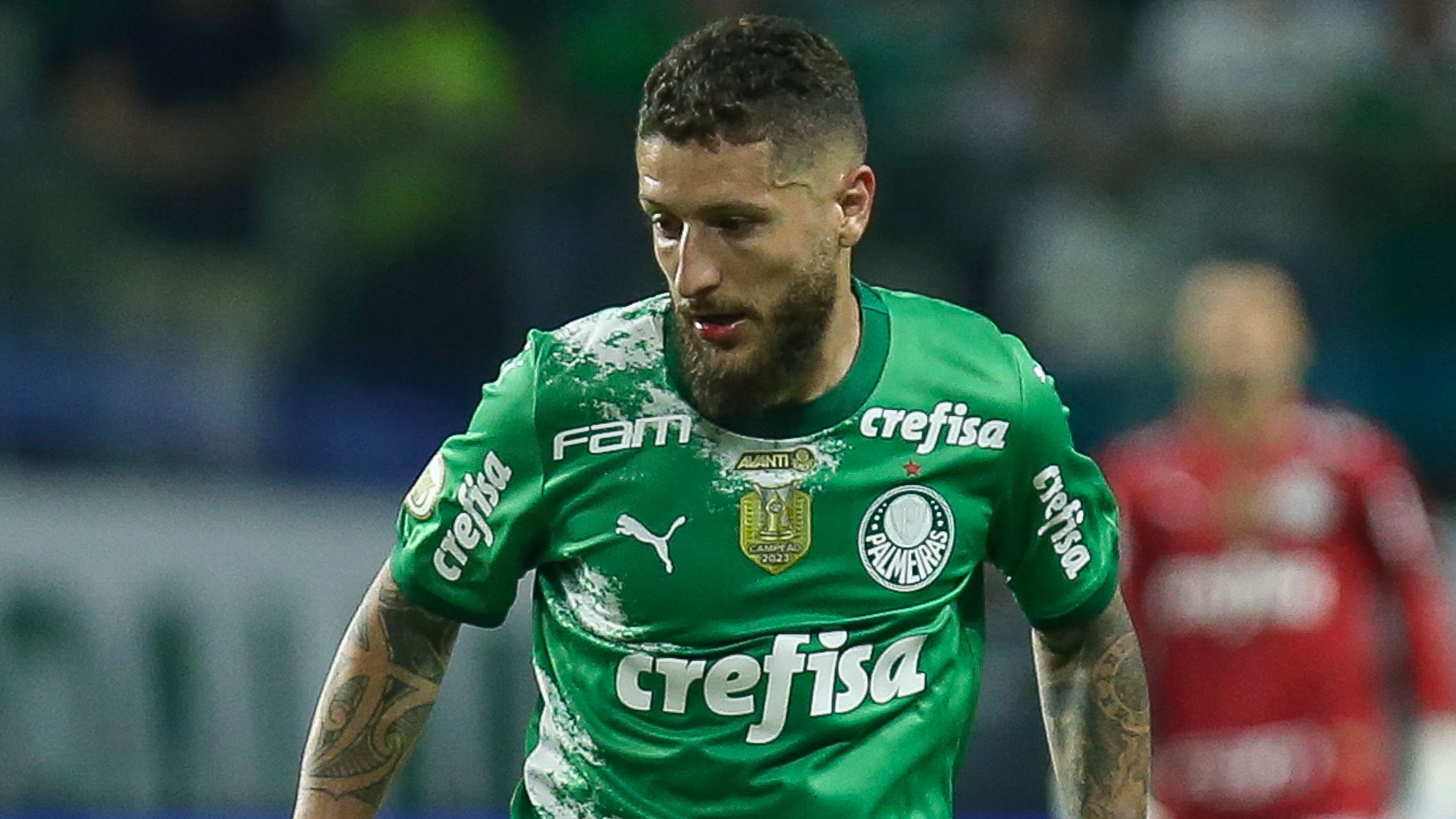 Palmeiras v Vasco da Gama - Brasileirao 2024