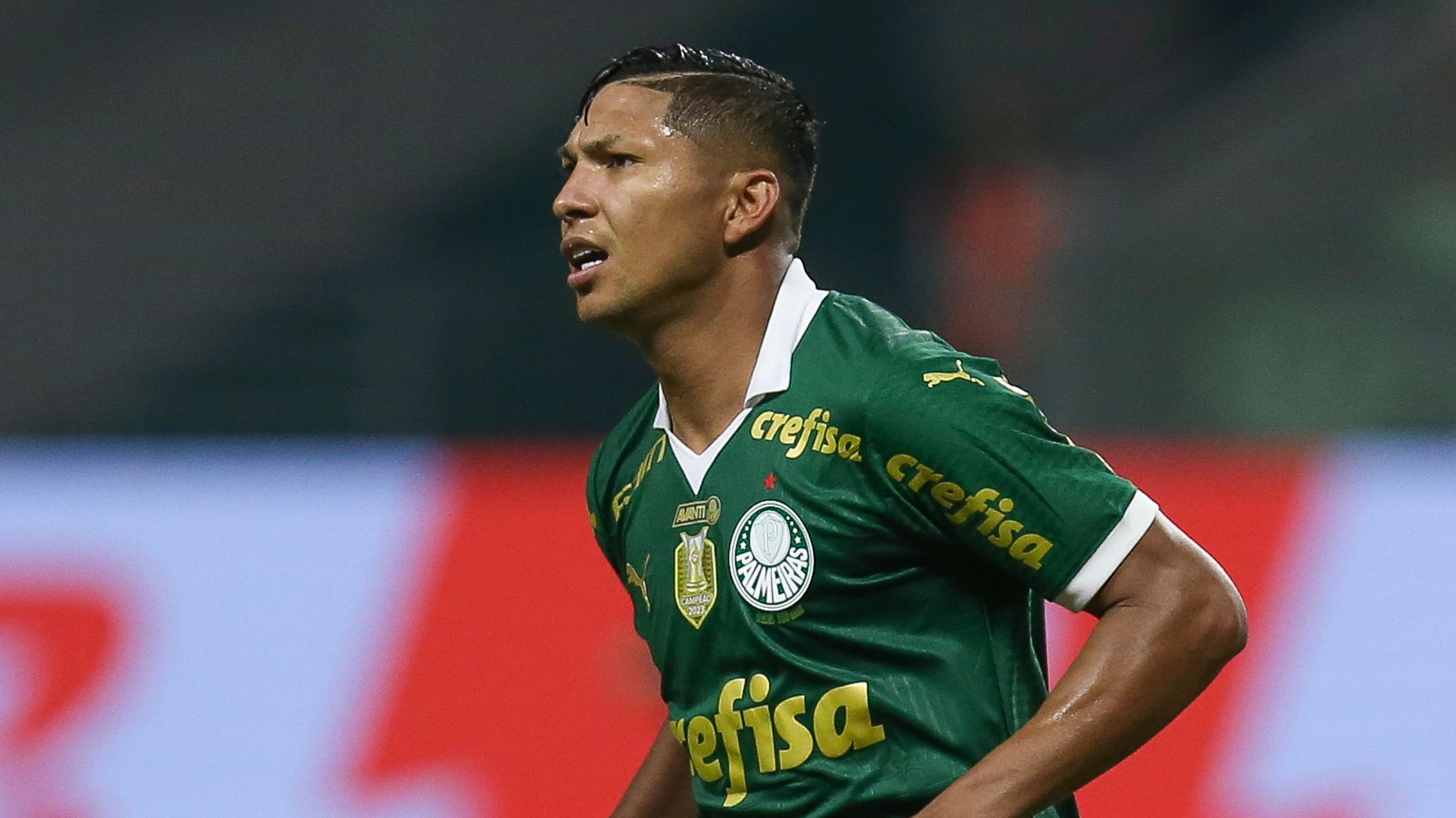 Palmeiras v Red Bull Bragantino - Brasileirao 2024