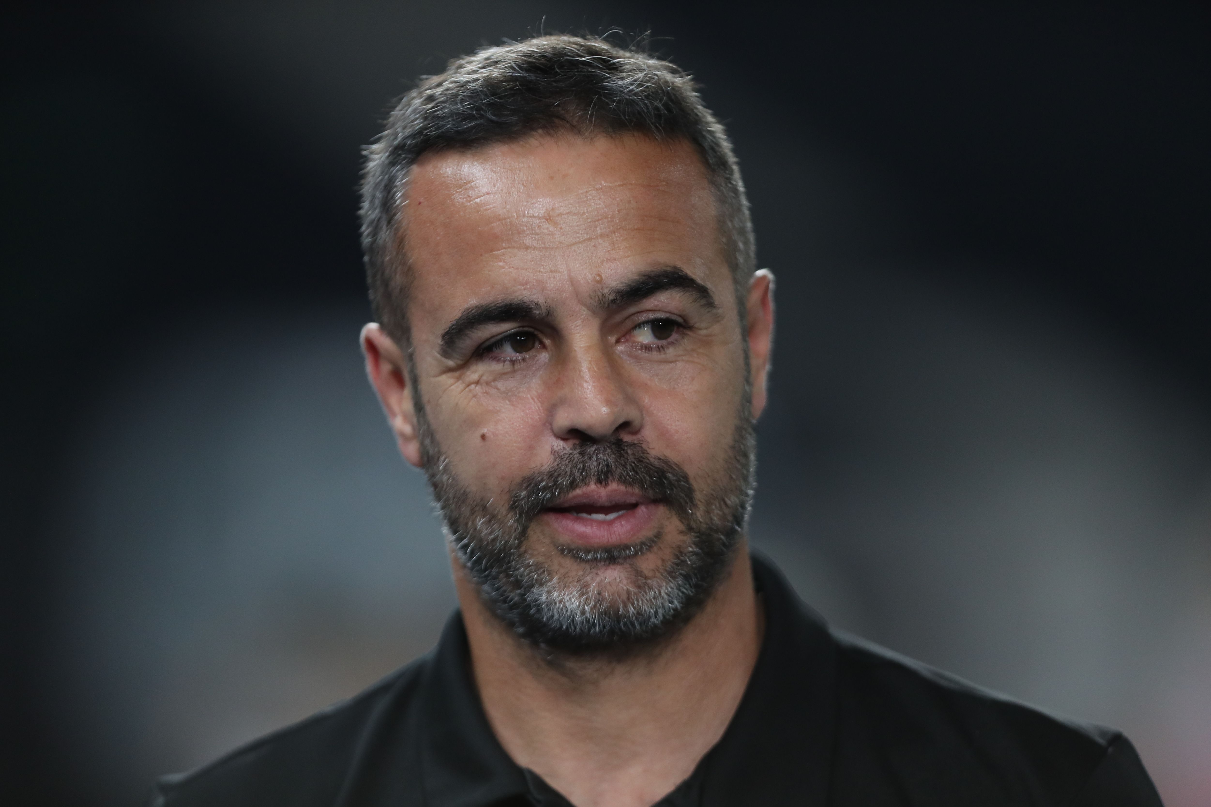 Botafogo v Bragantino - Brasileirao 2024