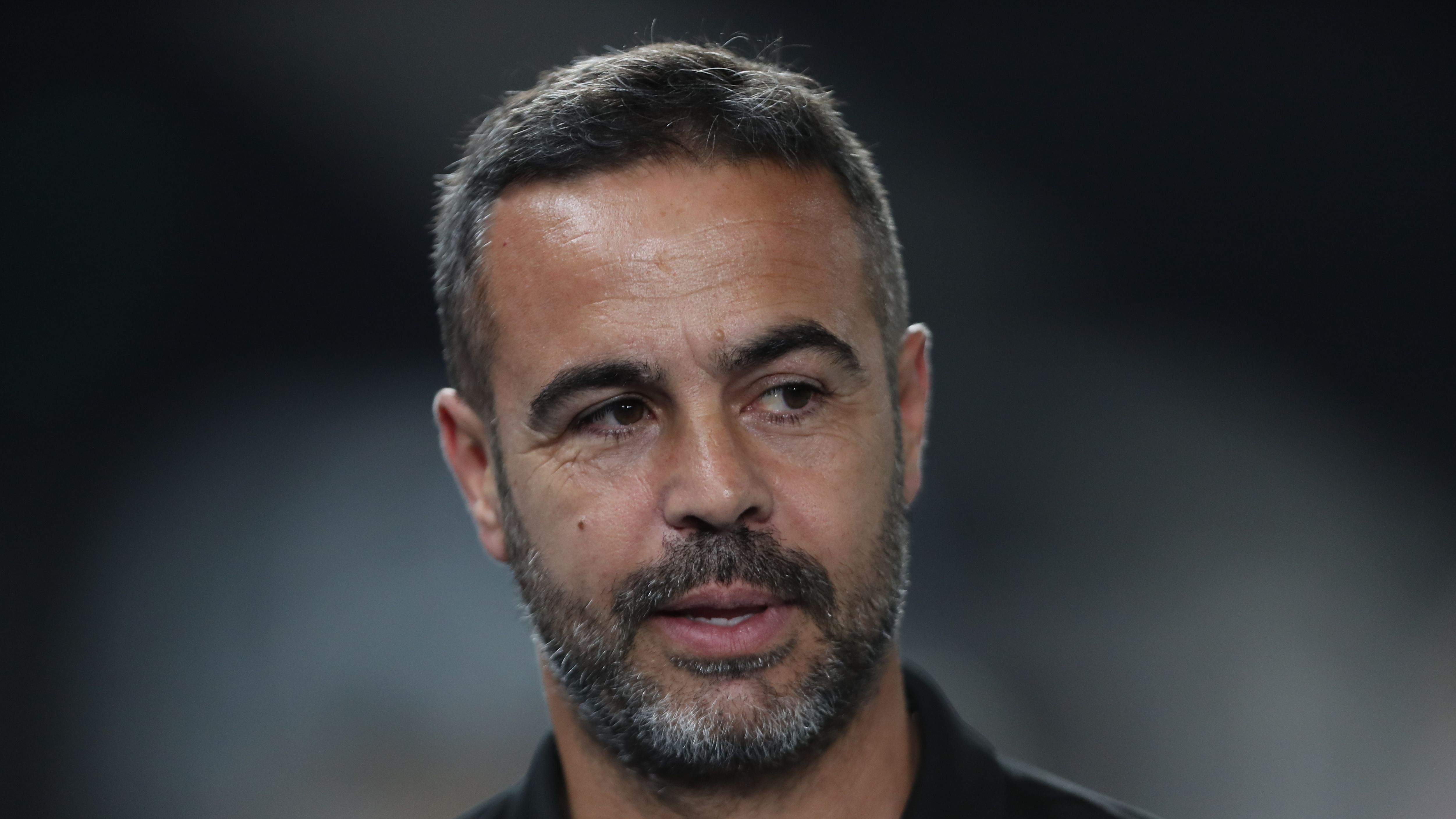 Botafogo v Bragantino - Brasileirao 2024