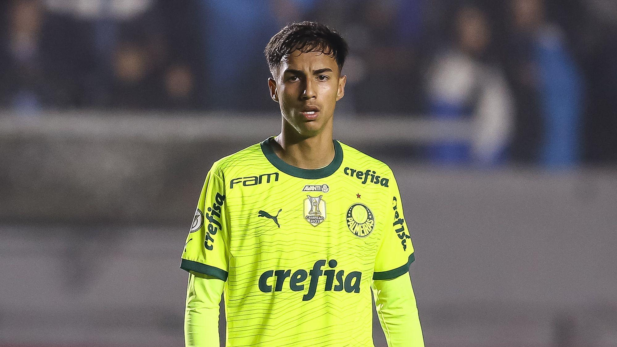 Gremio v Palmeiras - Brasileirao 2024