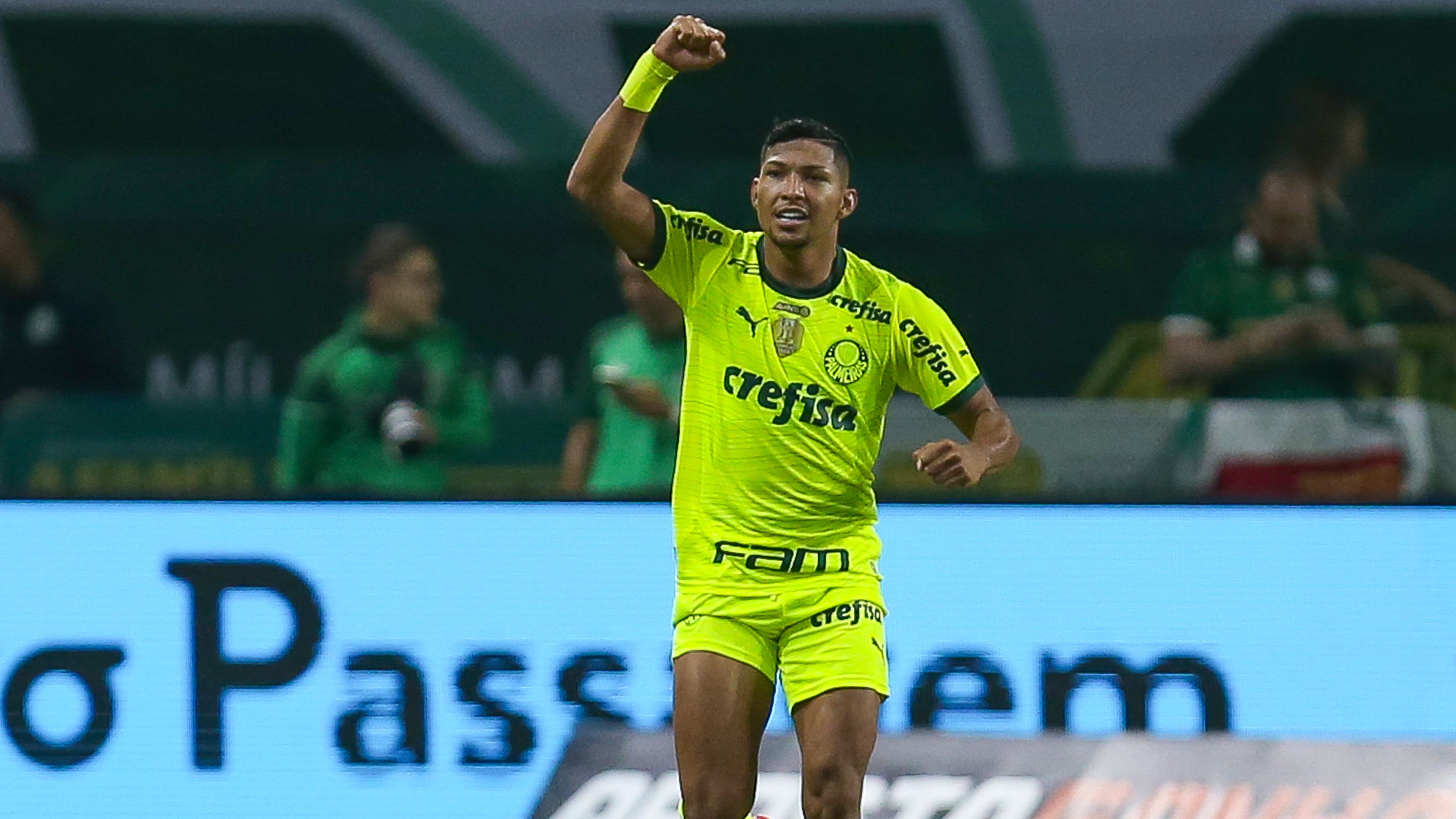 Palmeiras v Bahia - Brasileirao 2024