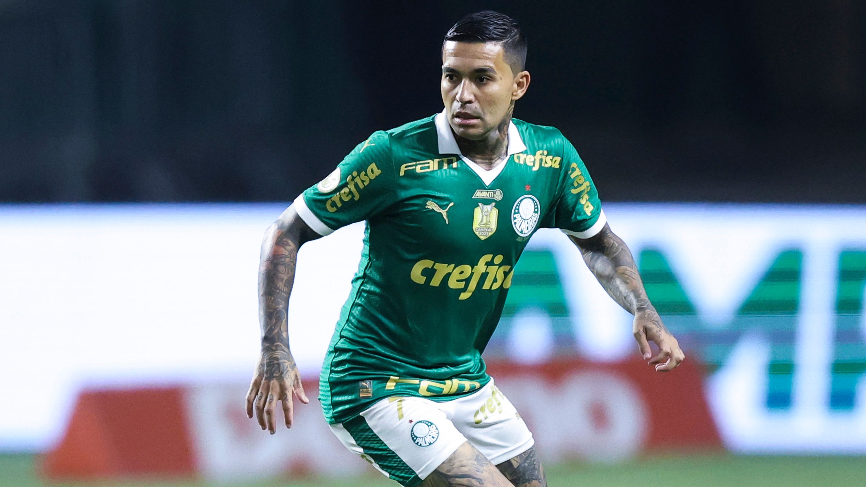 Palmeiras v Atletico Goianiense - Brasileirao 2024