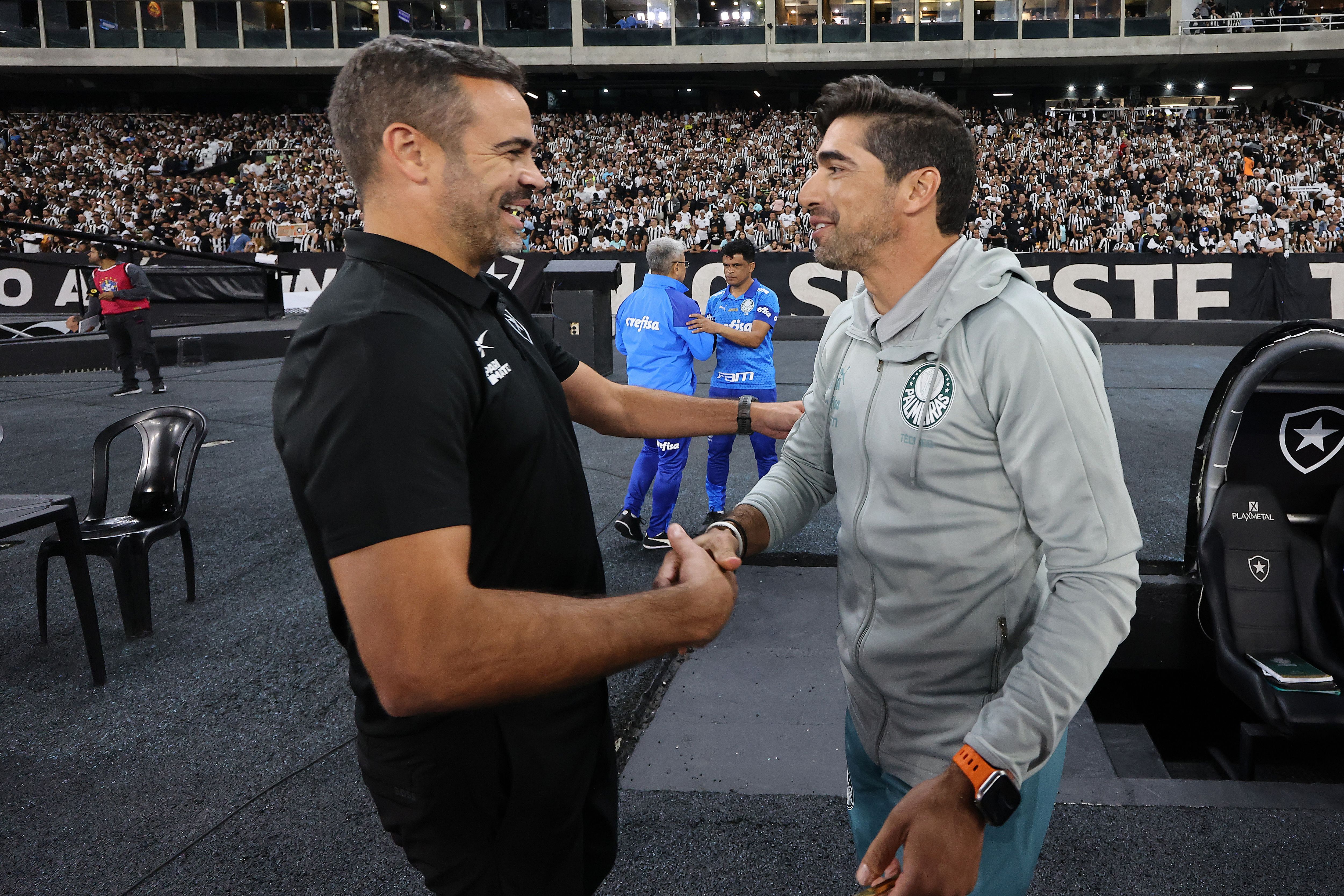 Botafogo v Palmeiras - Brasileirao 2024