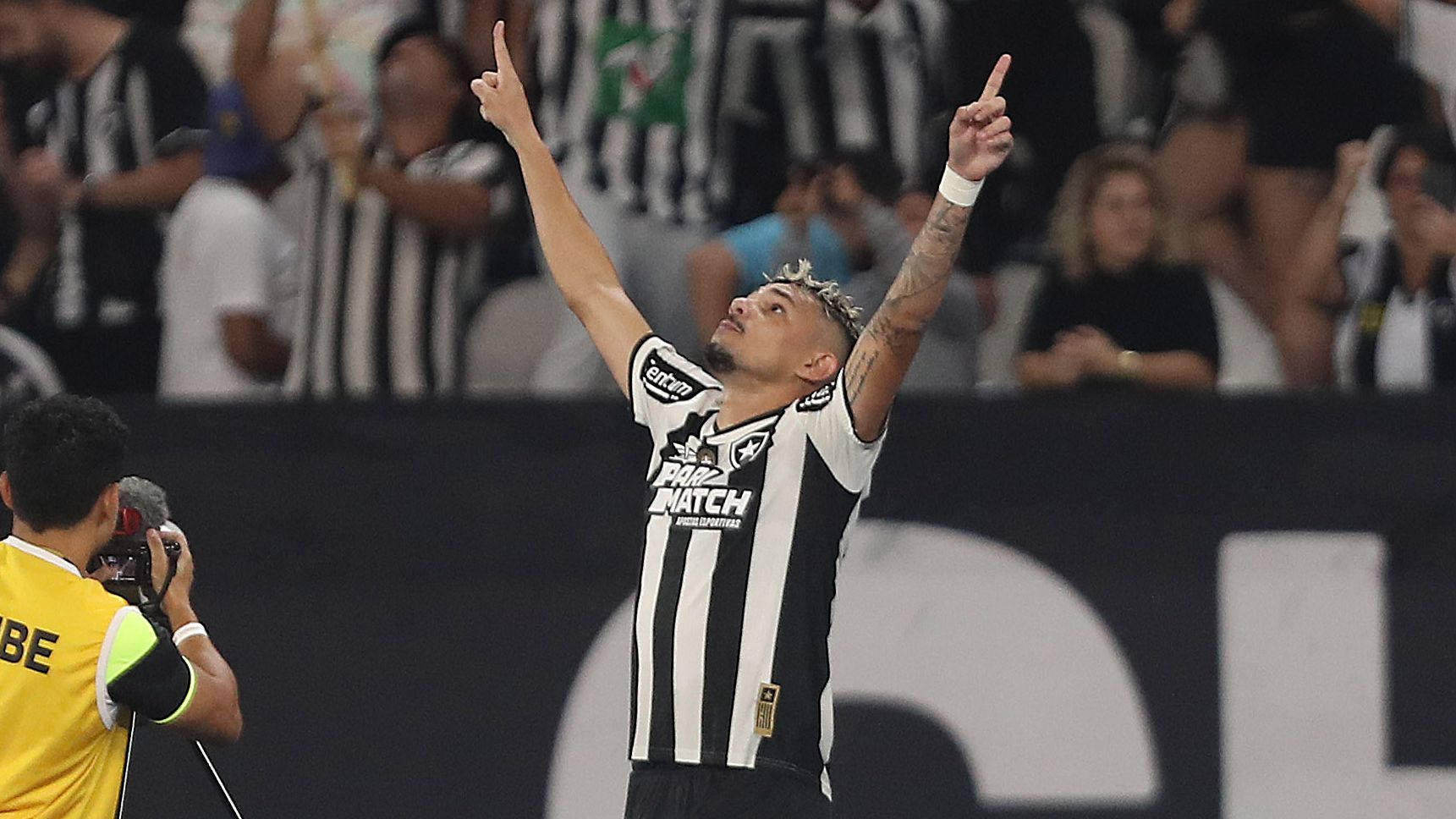 Botafogo v Palmeiras - Brasileirao 2024