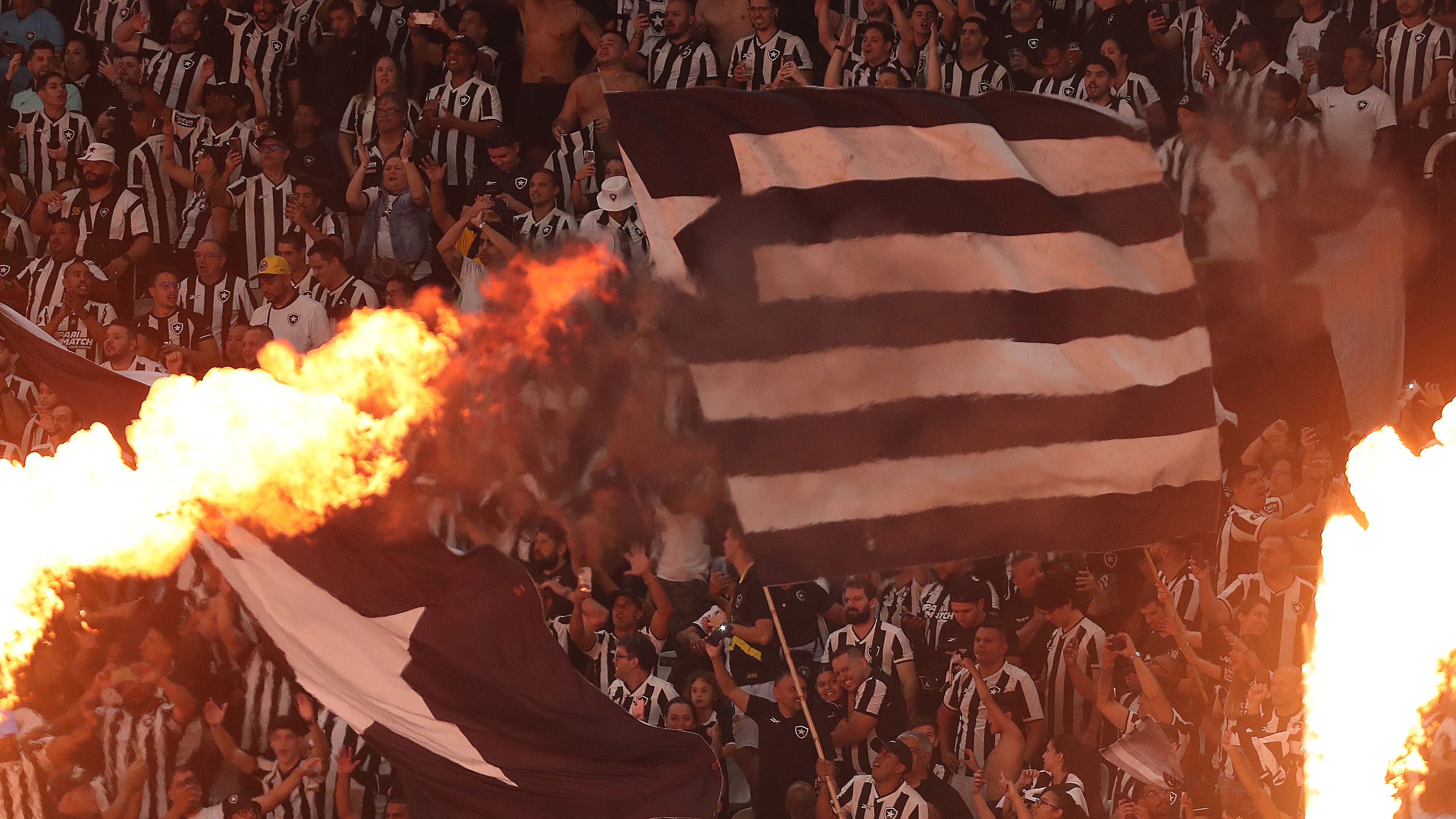 Botafogo v Palmeiras - Brasileirao 2024