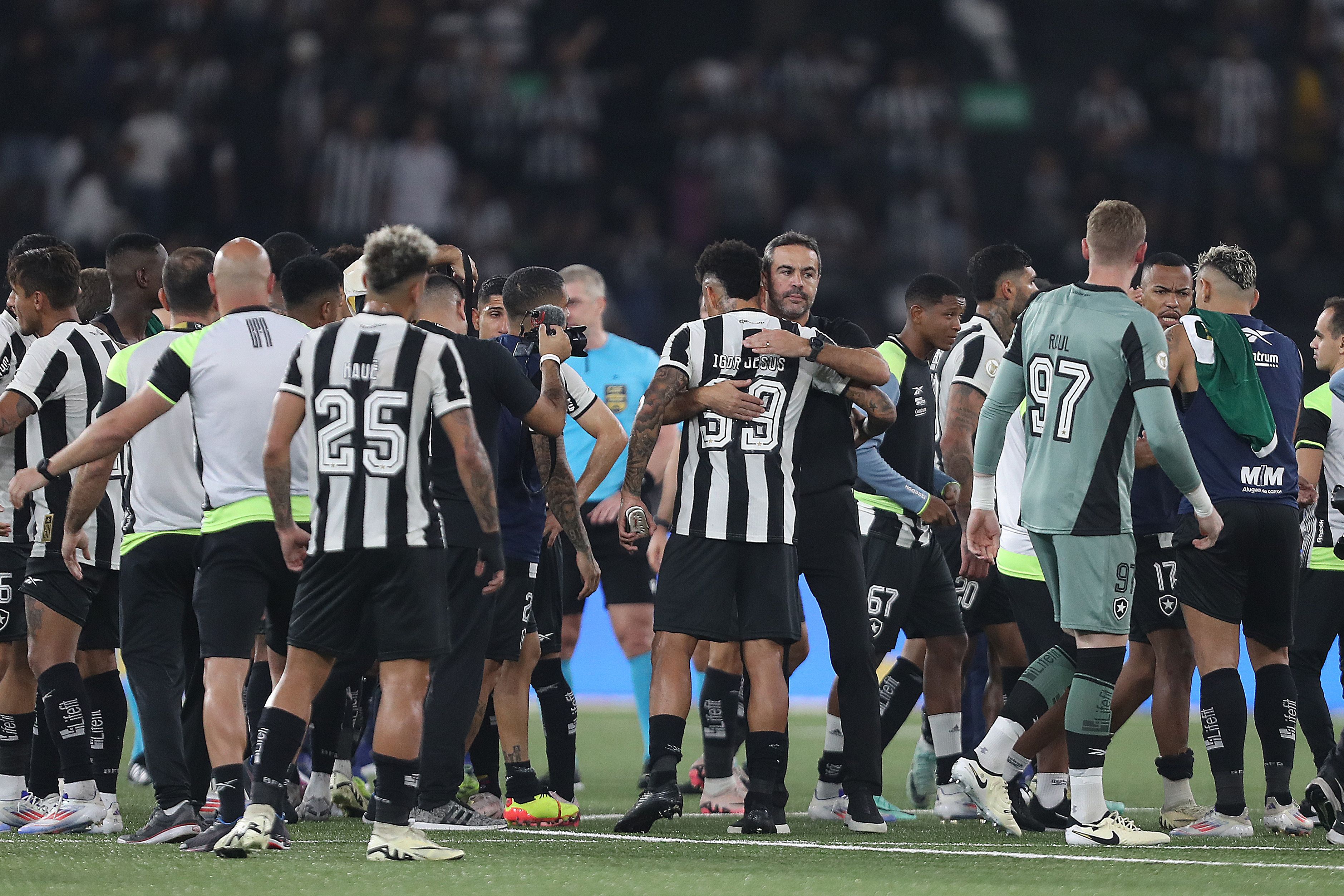 Botafogo v Palmeiras - Brasileirao 2024