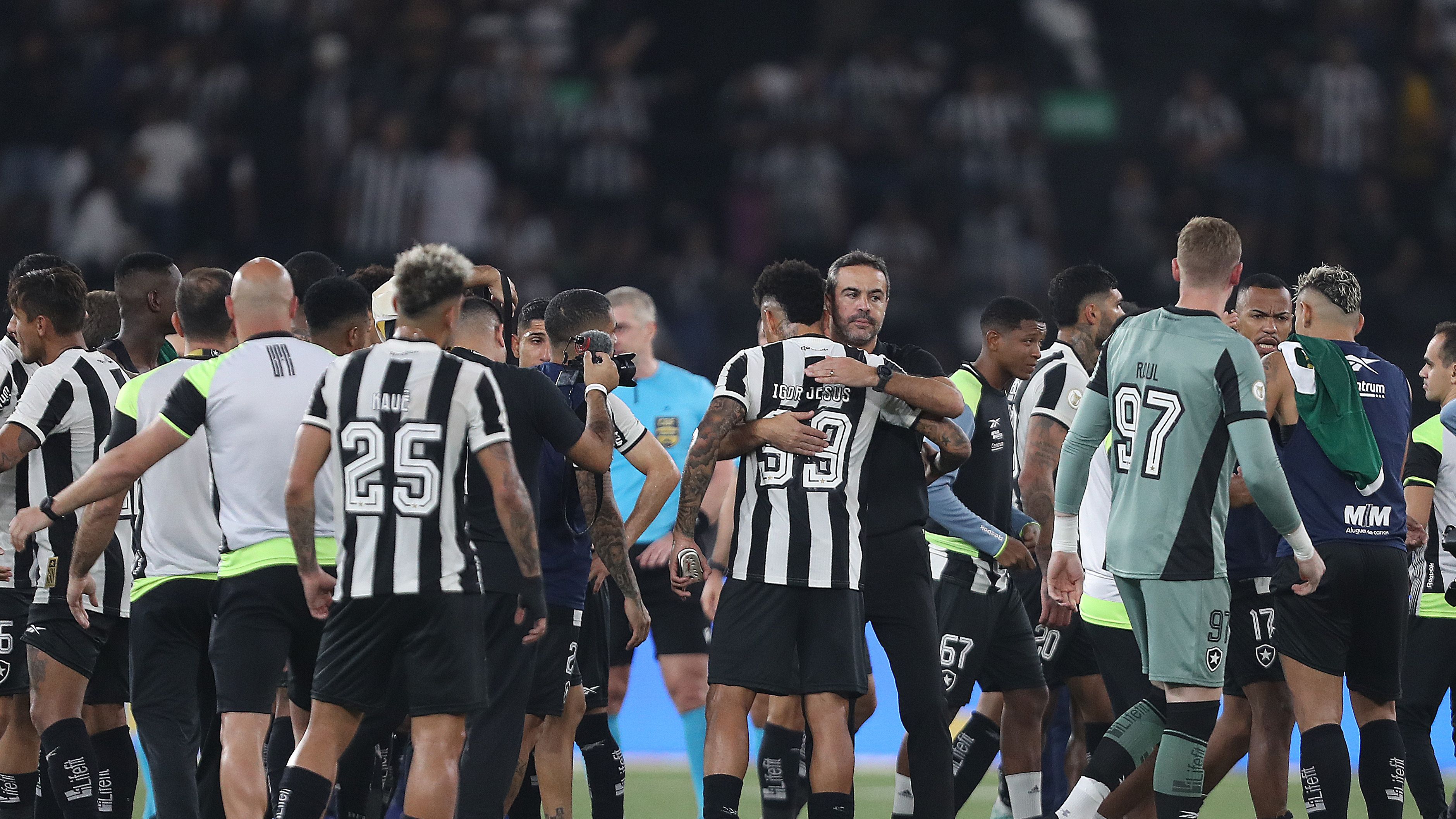 Botafogo v Palmeiras - Brasileirao 2024