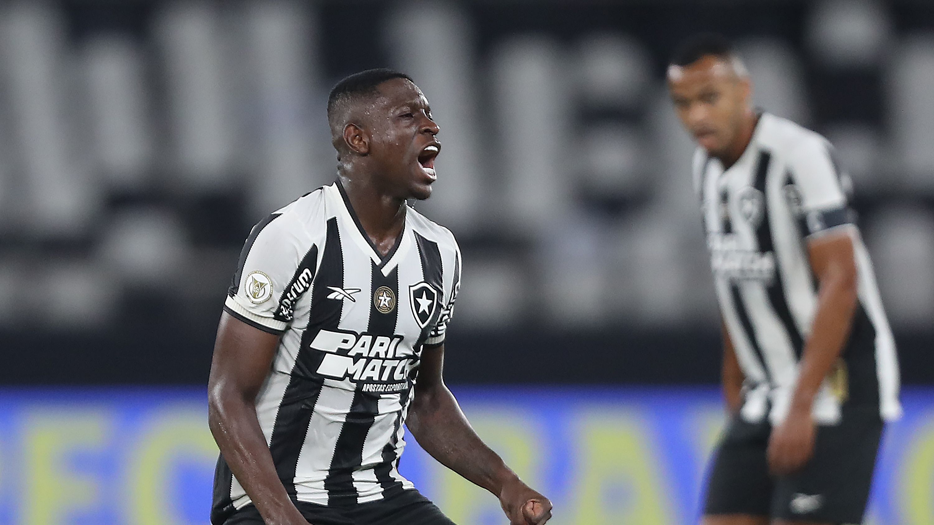 Botafogo v Internacional - Brasileirao 2024