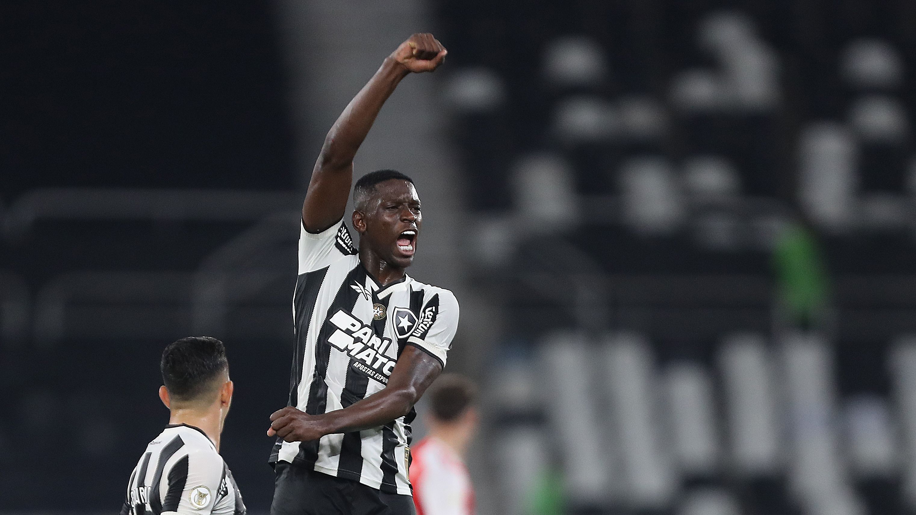 Botafogo v Internacional - Brasileirao 2024