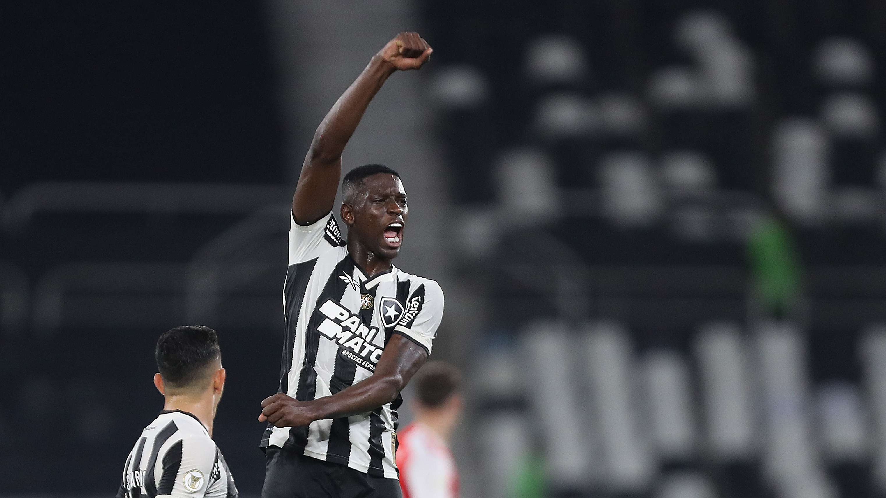 Botafogo v Internacional - Brasileirao 2024